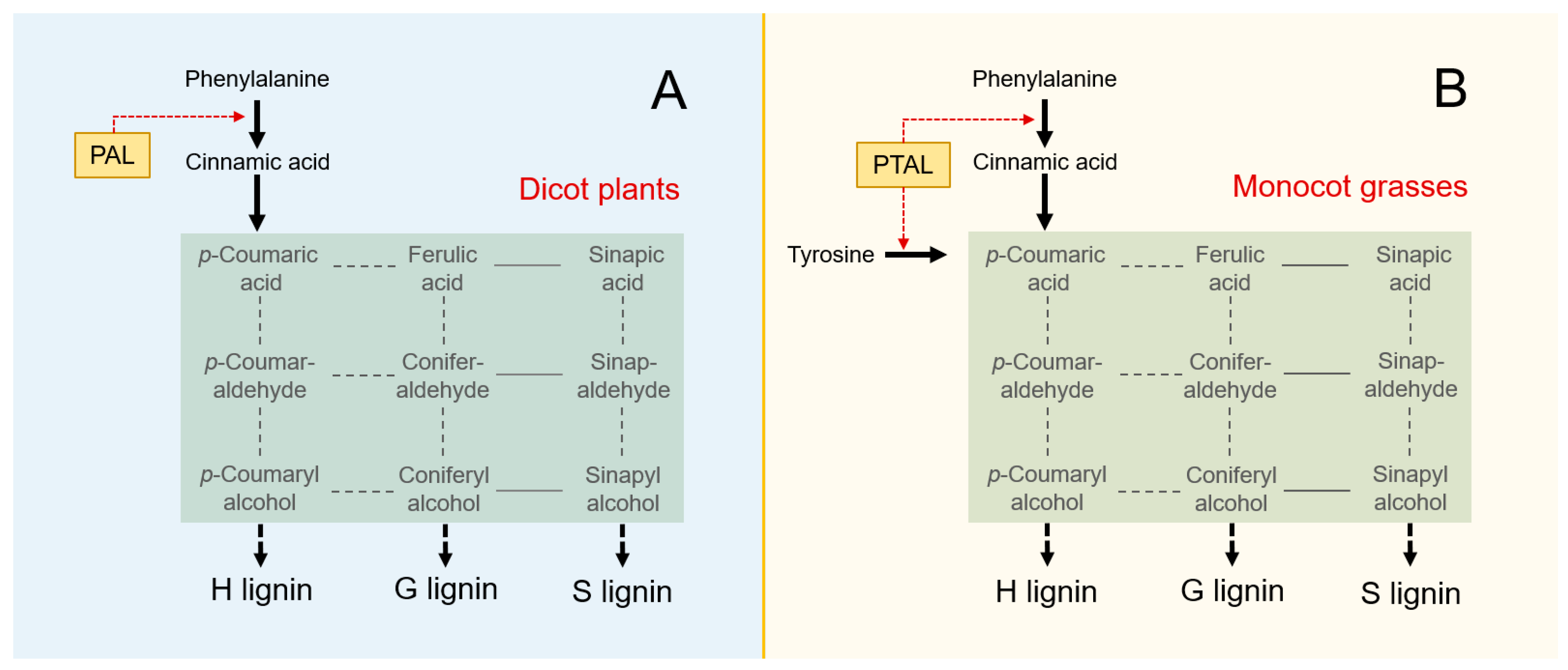 Biology 13 00742 g001
