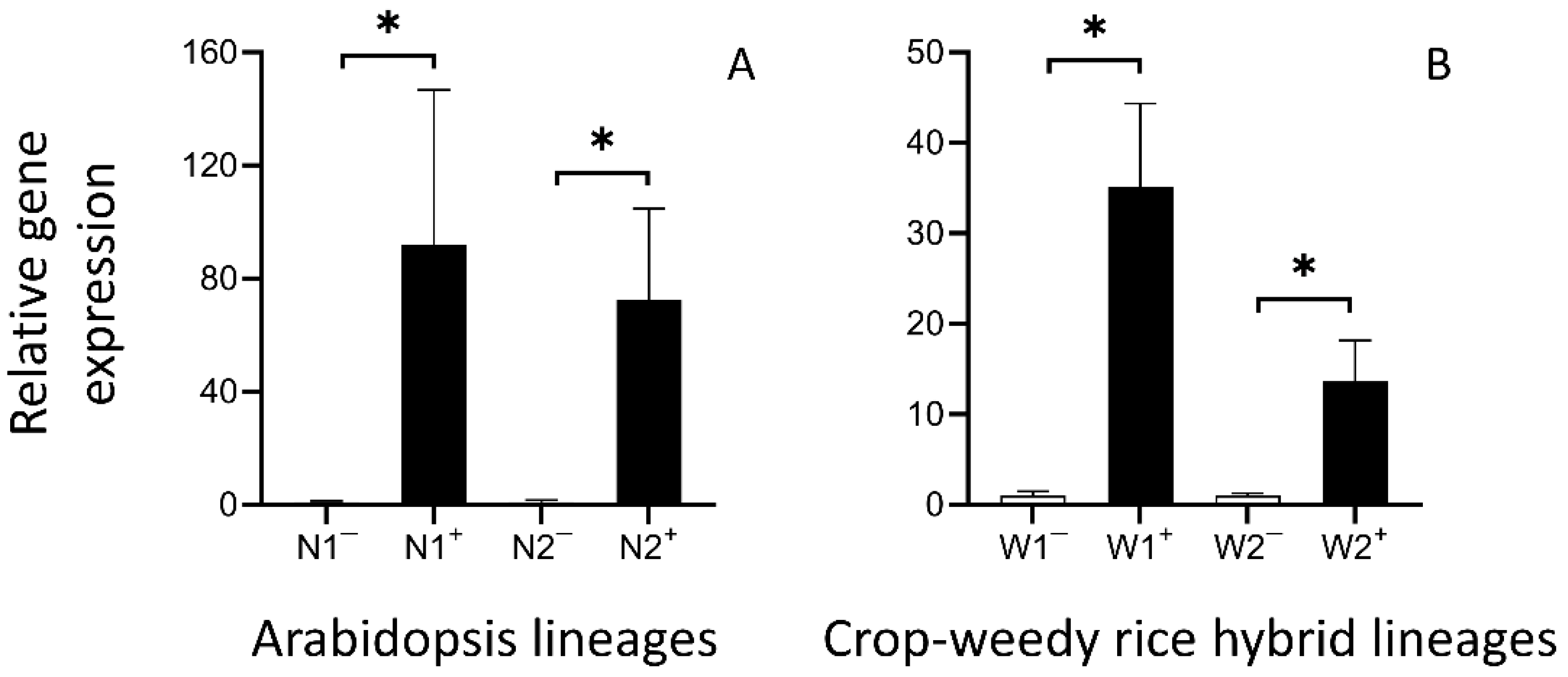 Biology 13 00742 g003