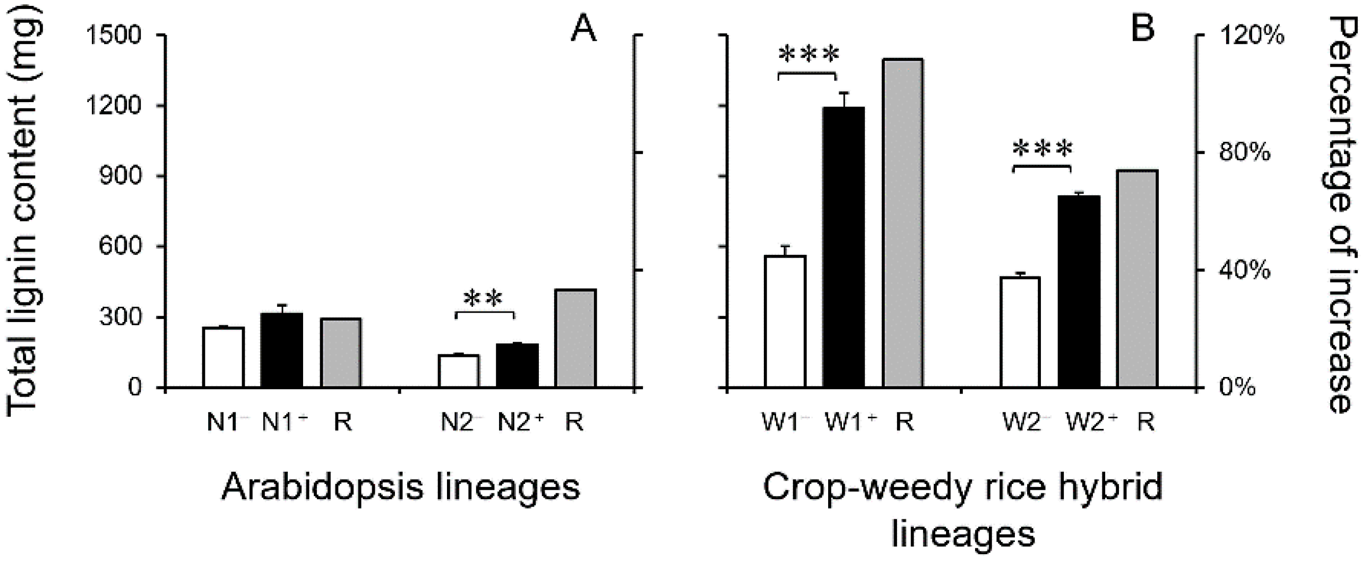 Biology 13 00742 g005