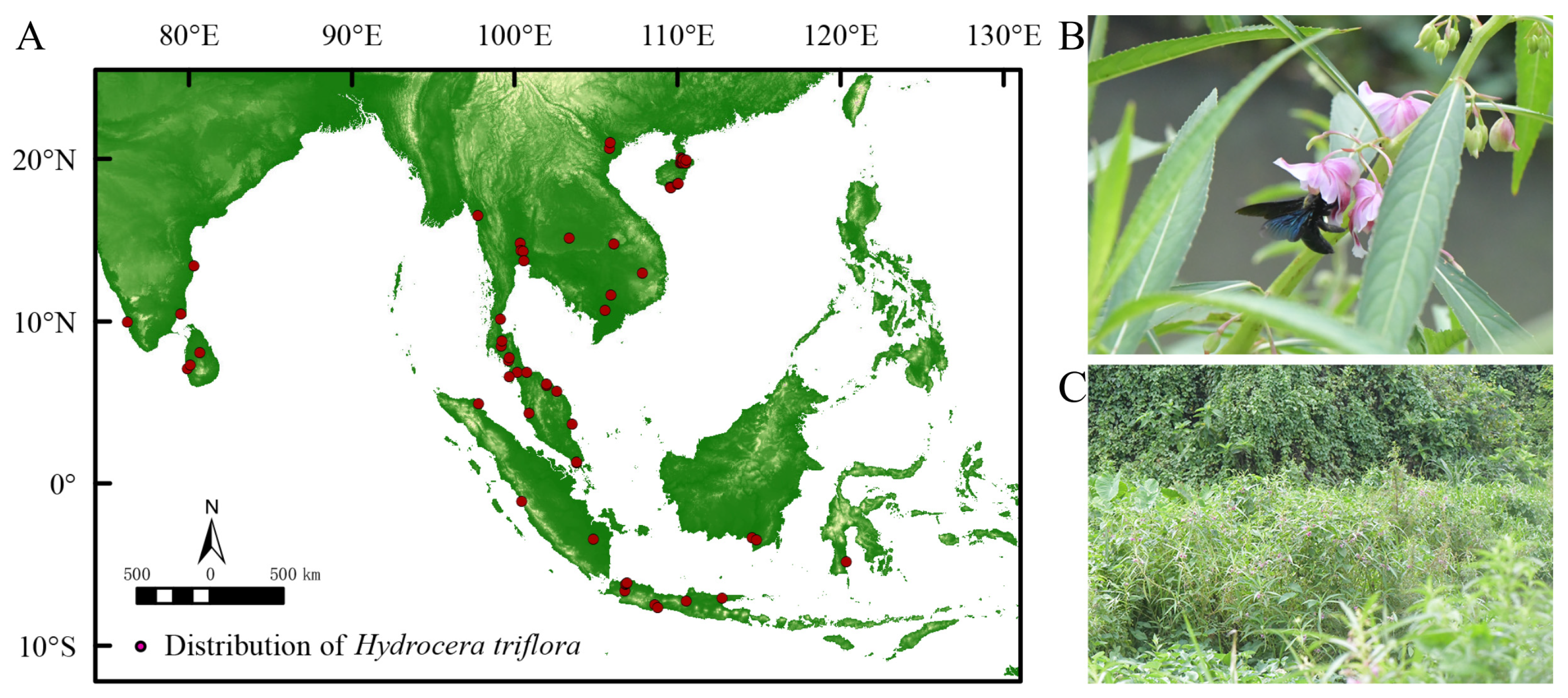 Biology 13 00745 g001