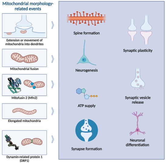 Biology 13 00746 g002