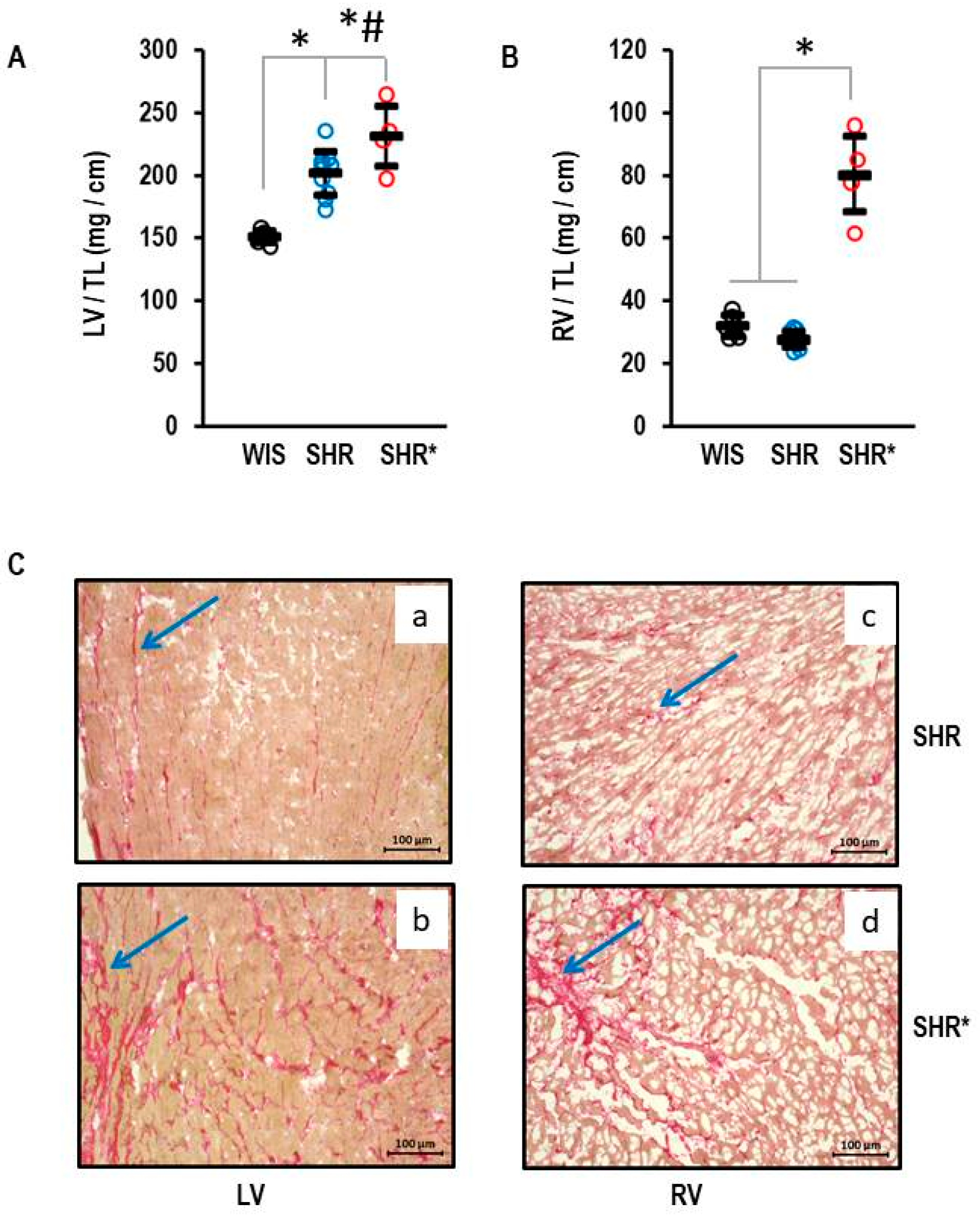 Biology 13 00752 g001 Biology 13 00752 g001