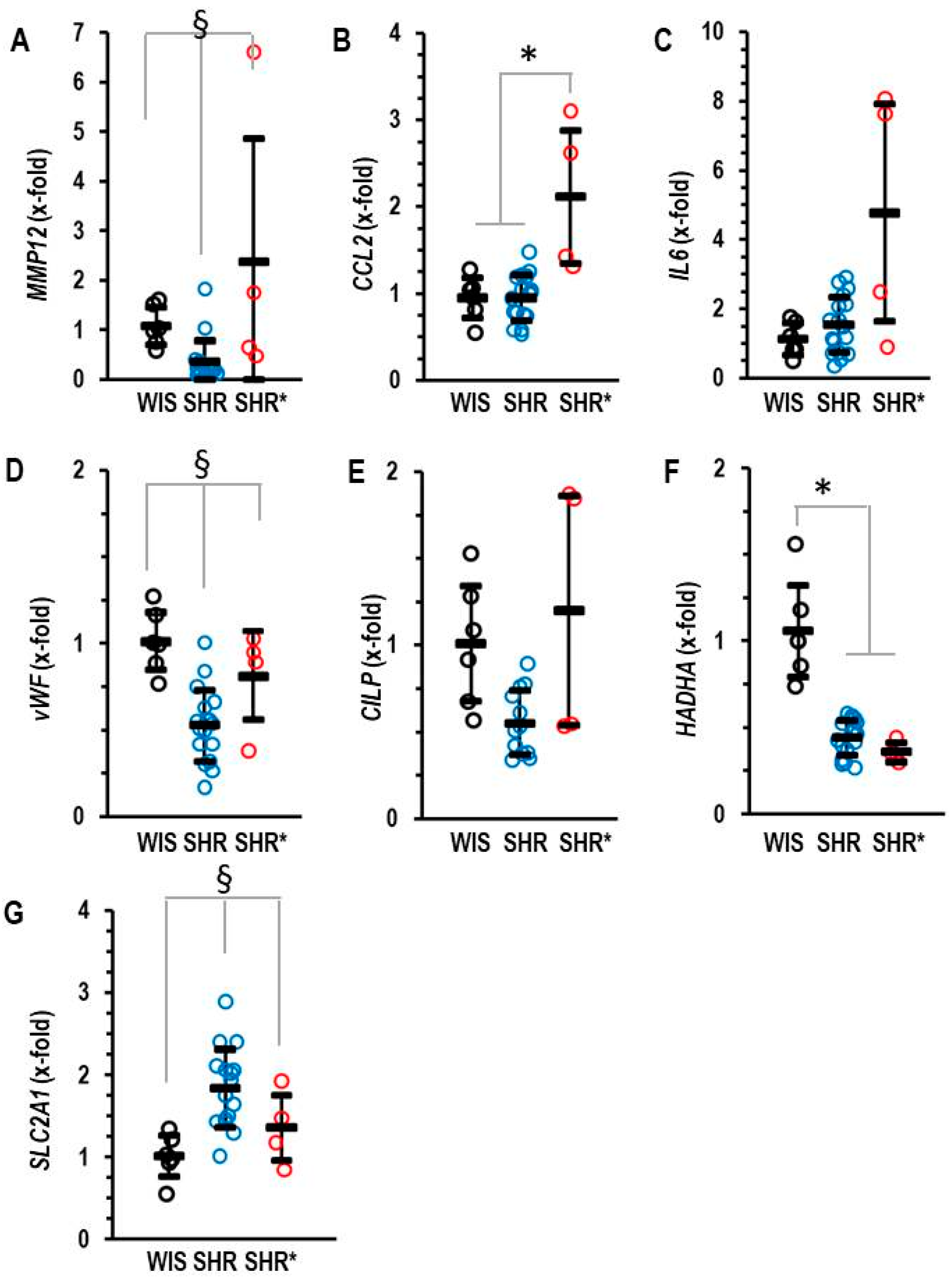 Biology 13 00752 g003 Biology 13 00752 g003