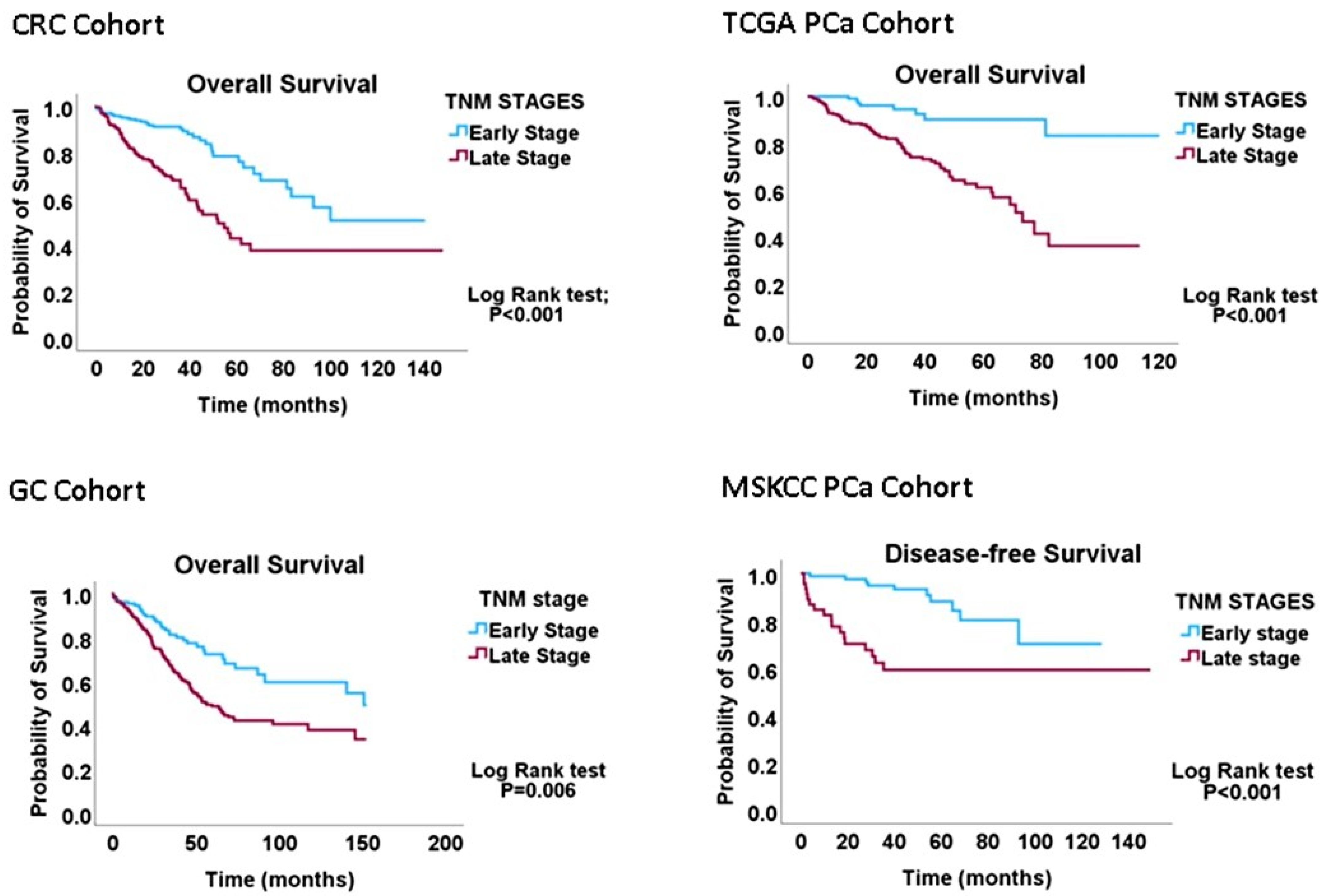 Biology 13 00753 g001