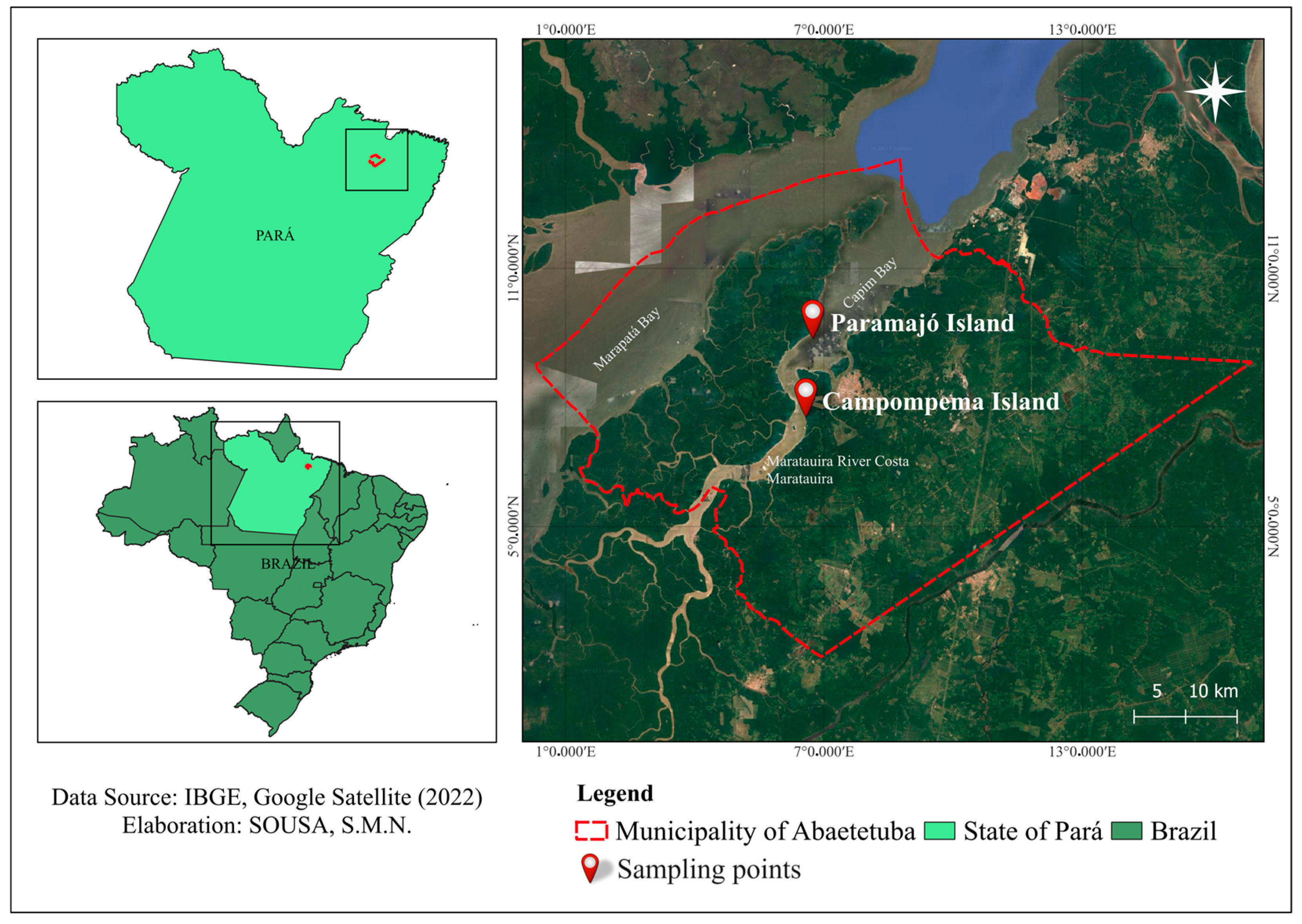Biology 13 00757 g001
