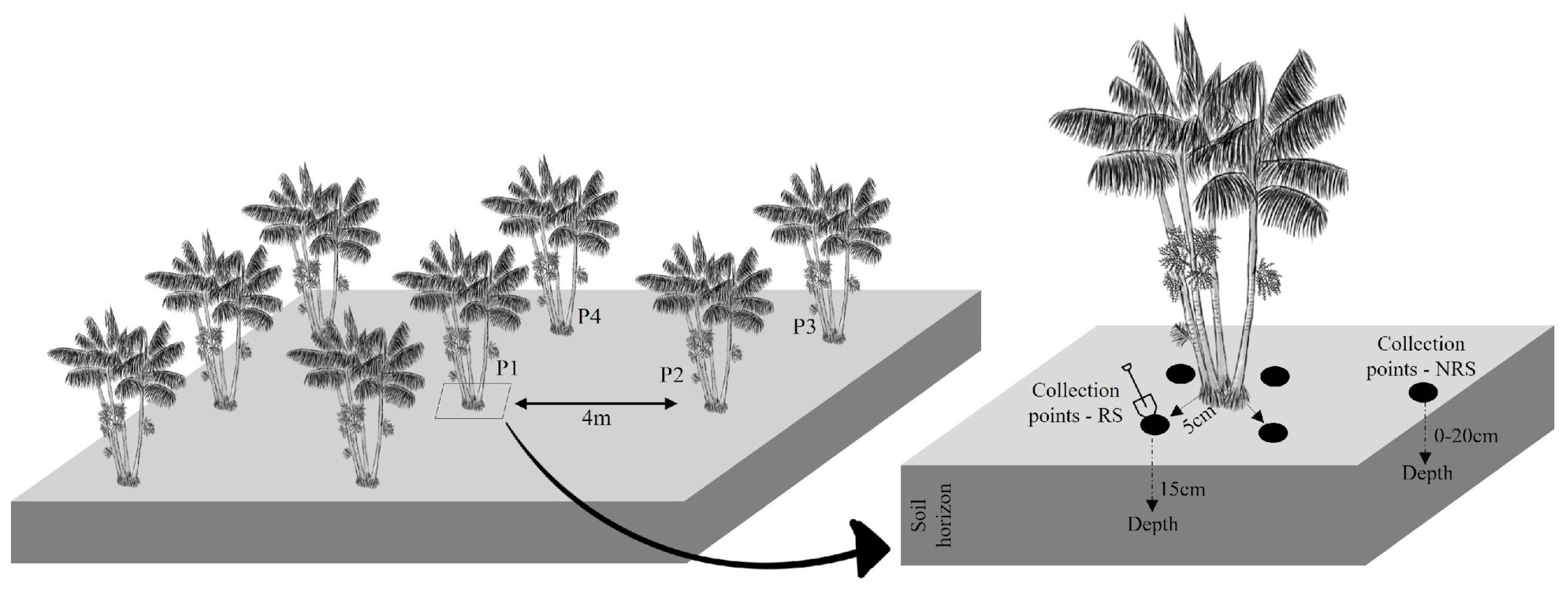 Biology 13 00757 g002
