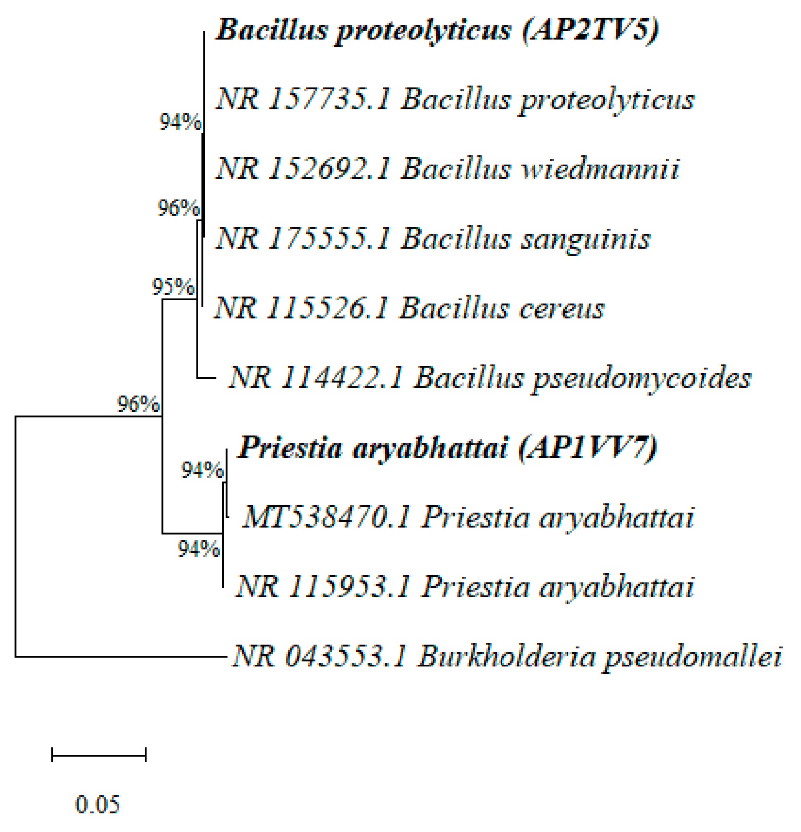 Biology 13 00757 g003