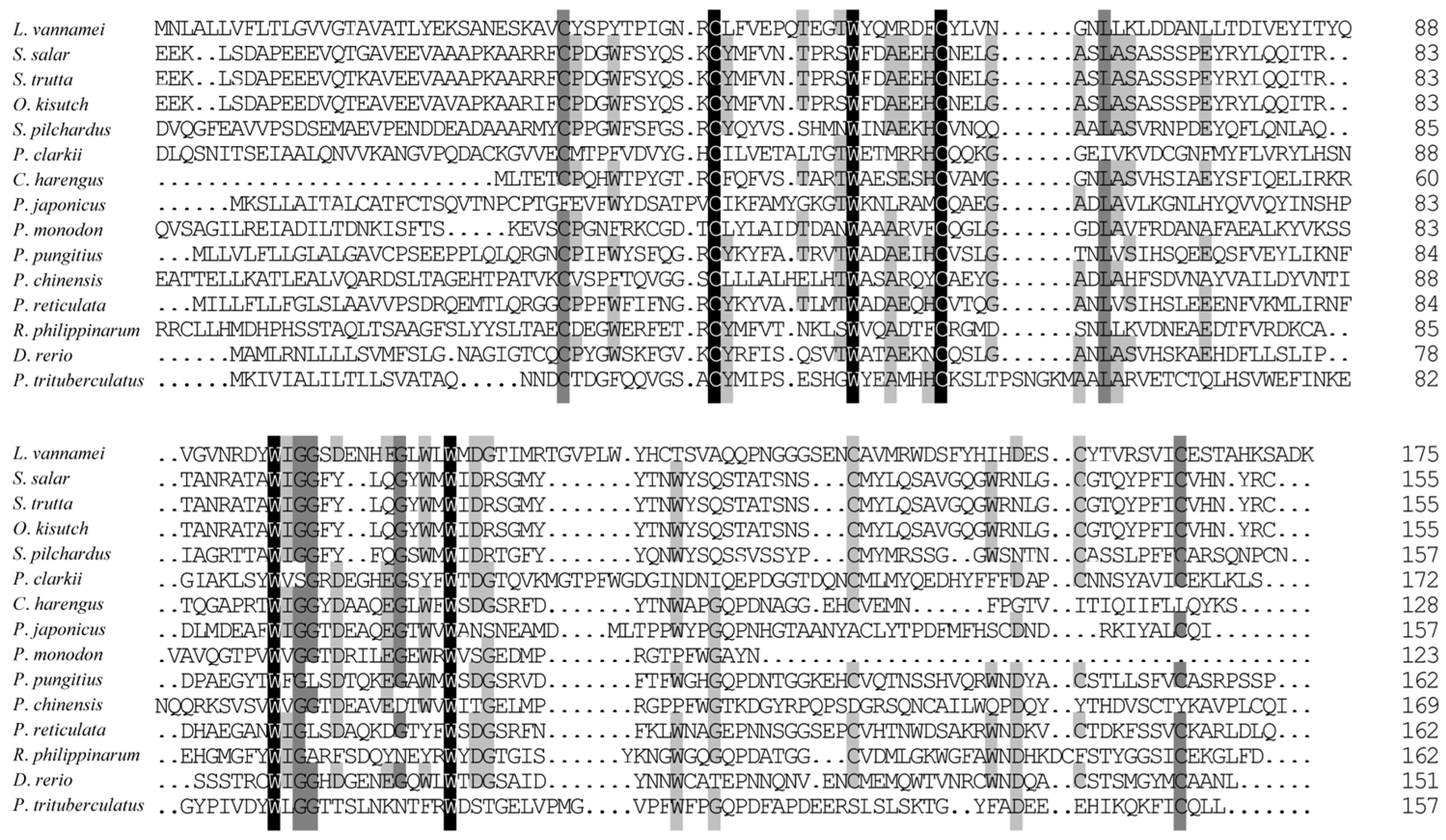 Biology 13 00758 g002