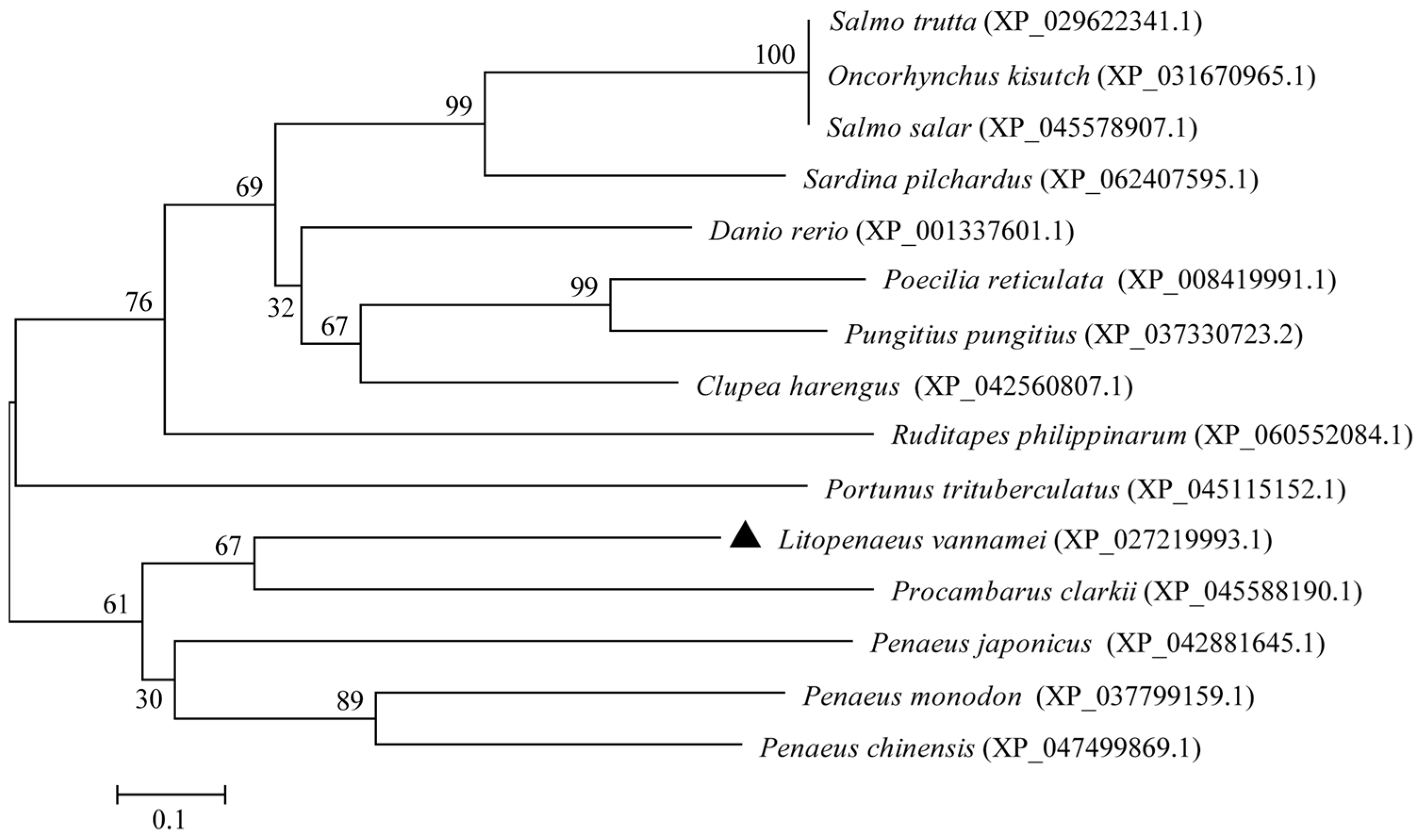 Biology 13 00758 g003
