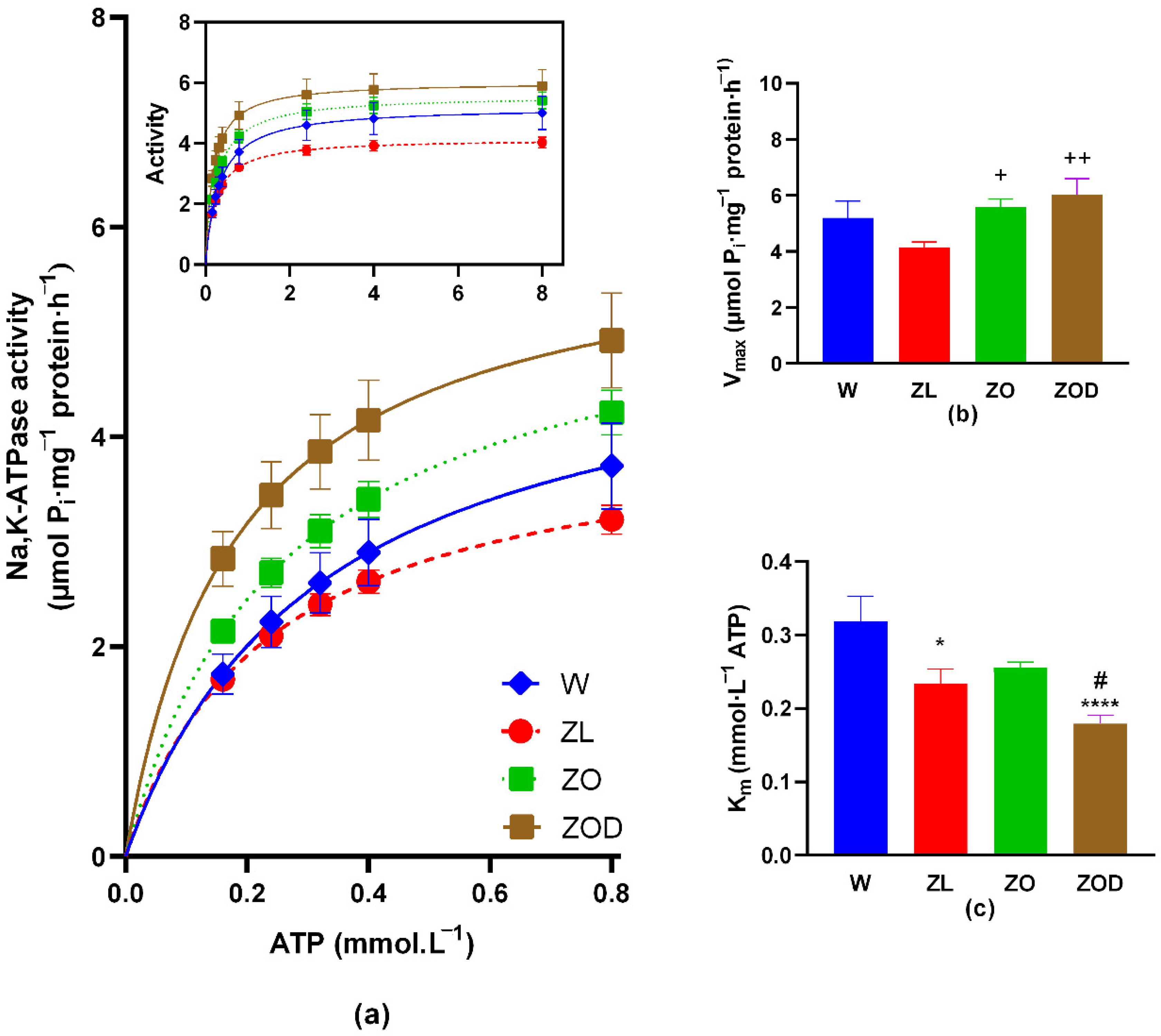 Biology 13 00759 g001