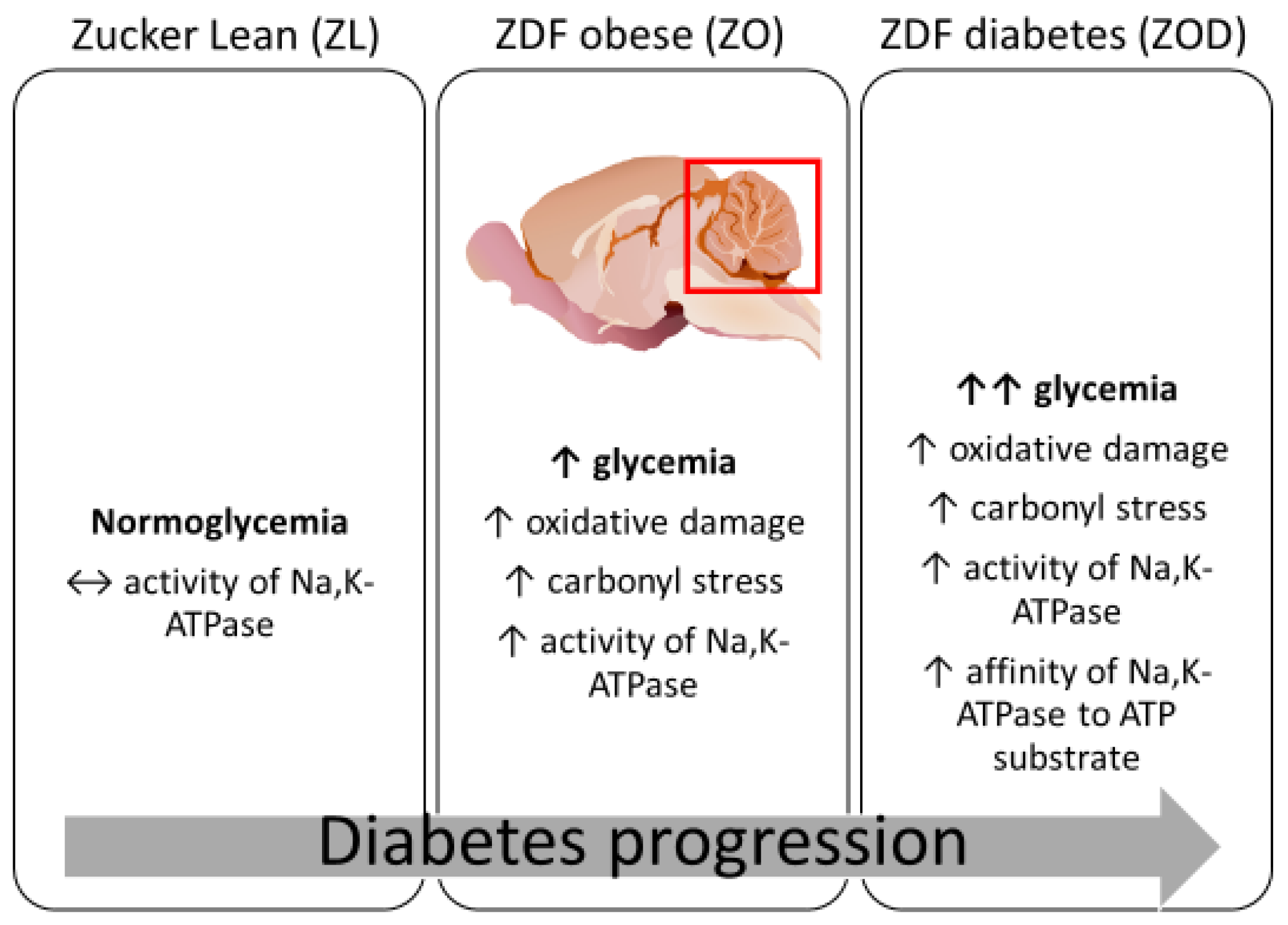 Biology 13 00759 g002