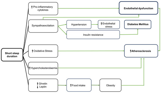 Biology 13 00761 g0a1