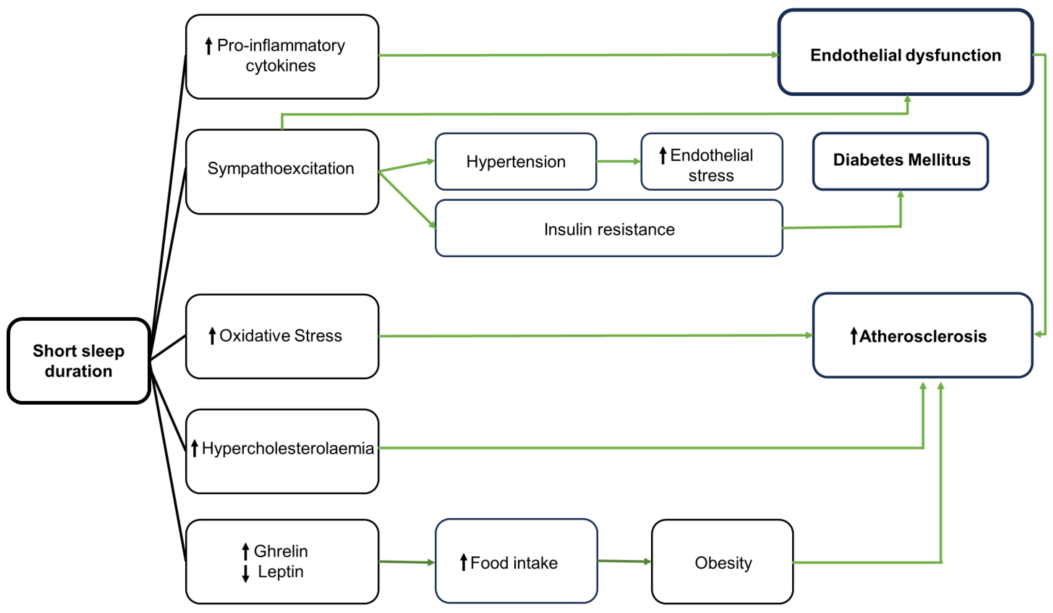 Biology 13 00761 g0a1