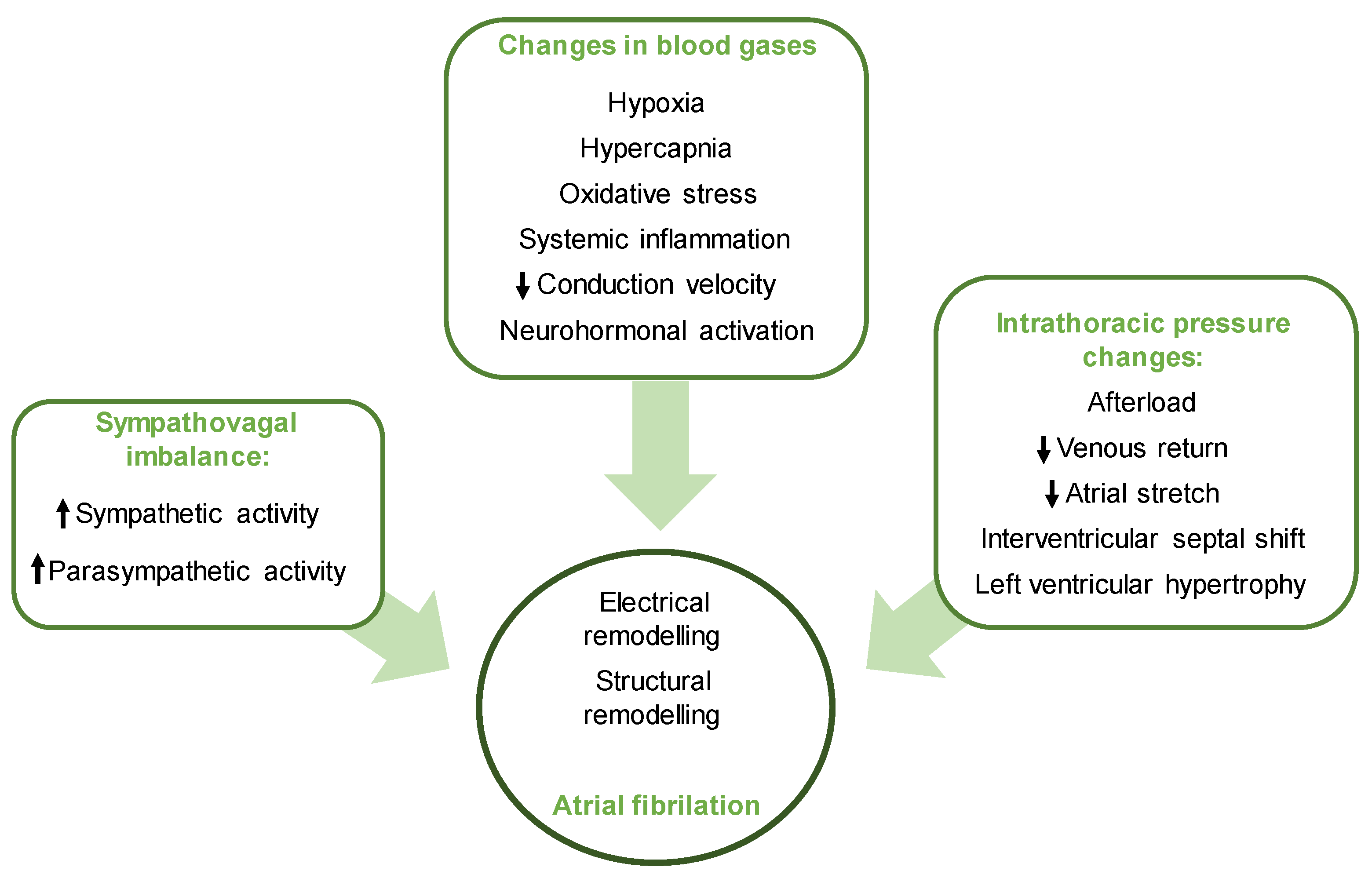 Biology 13 00761 g0a2