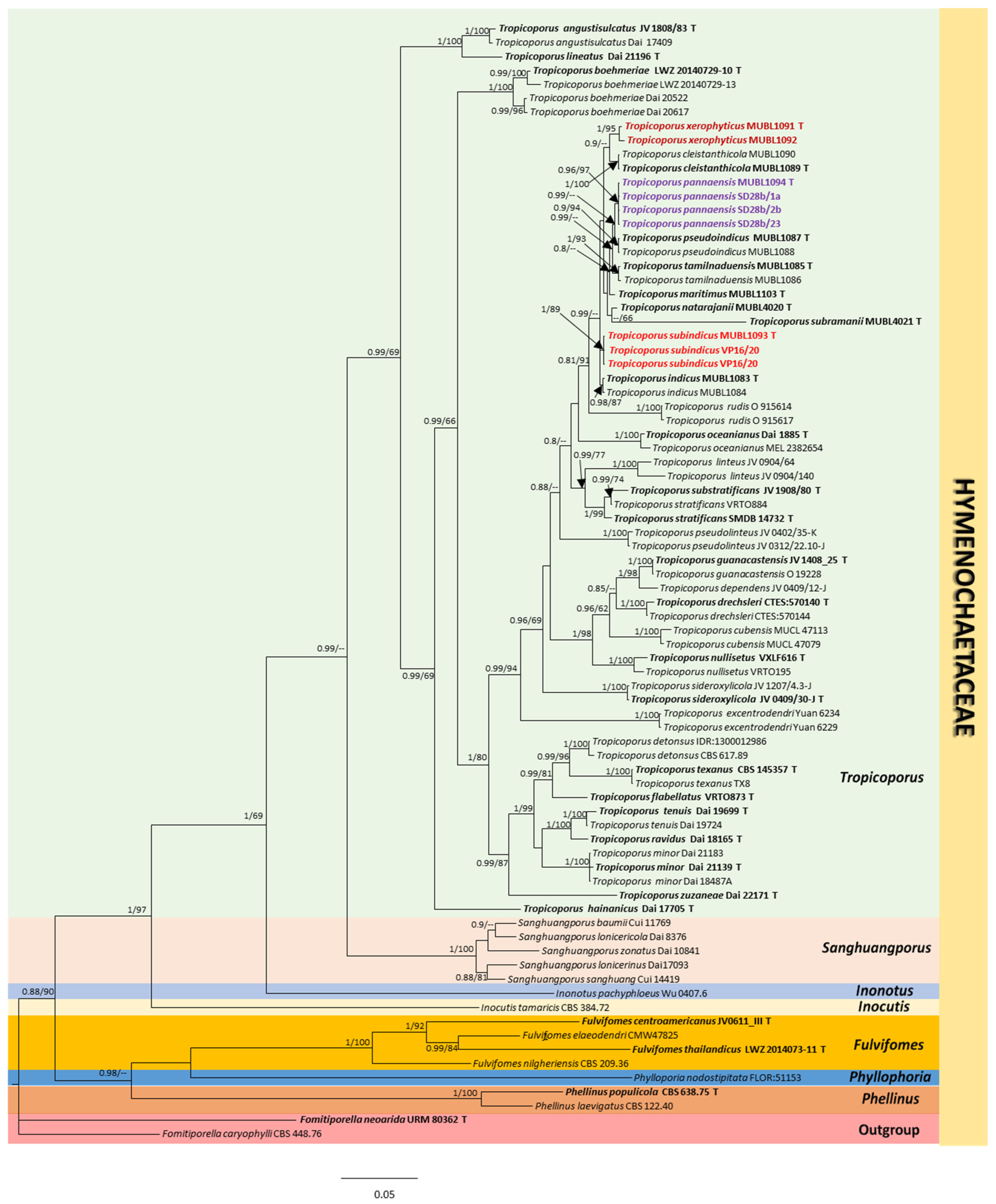 Biology 13 00770 g001