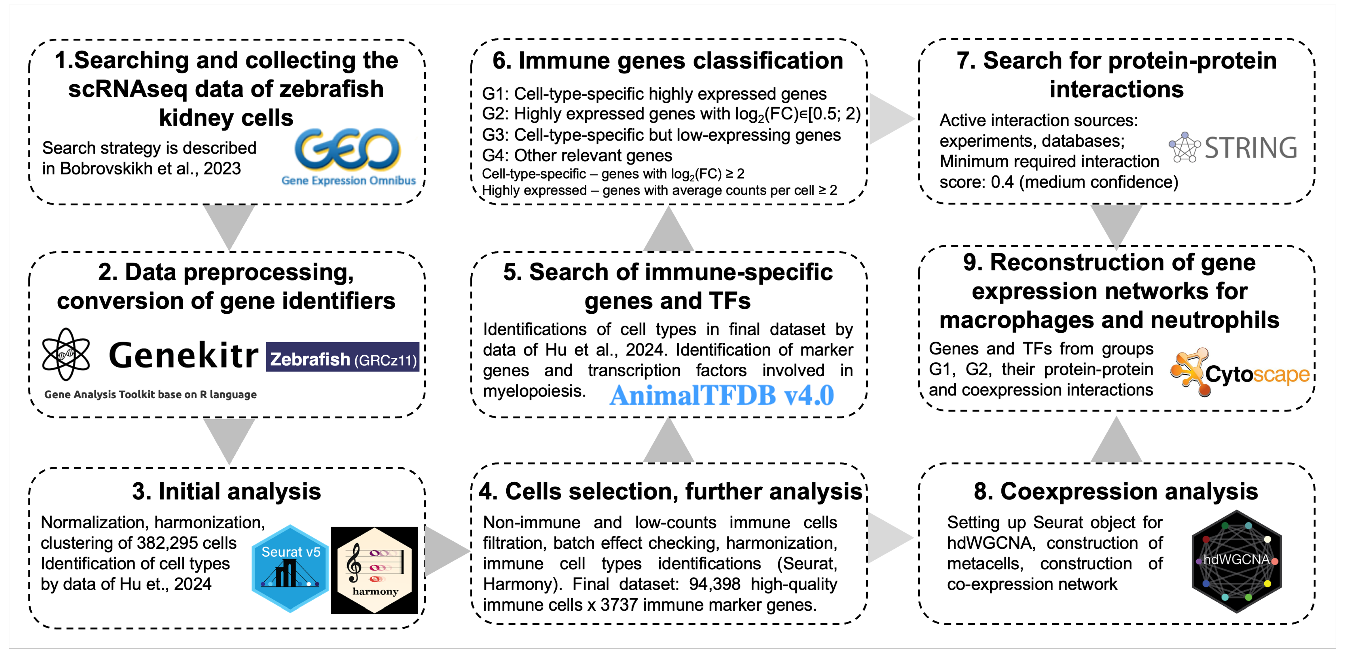 Biology 13 00773 g001