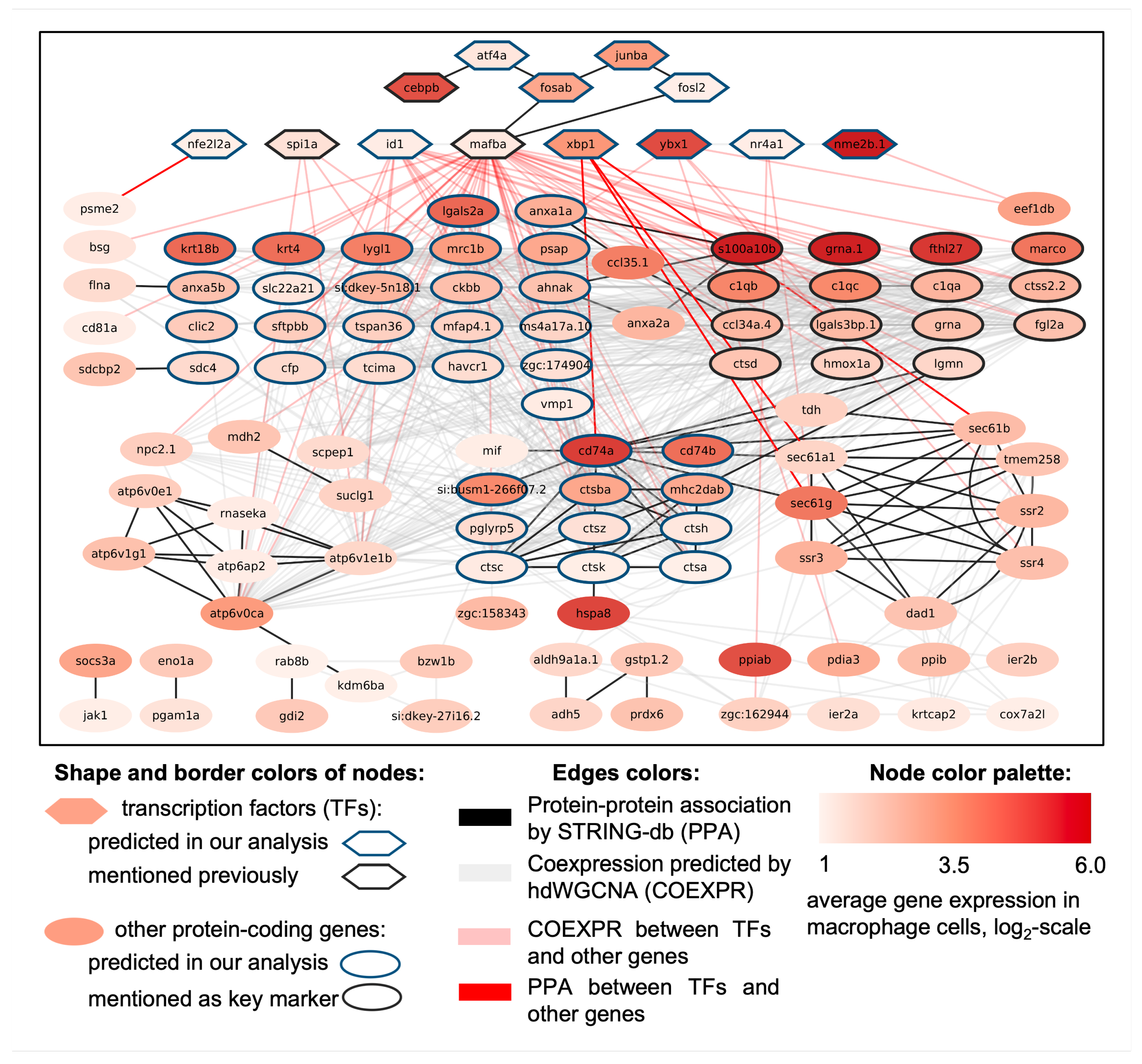 Biology 13 00773 g006