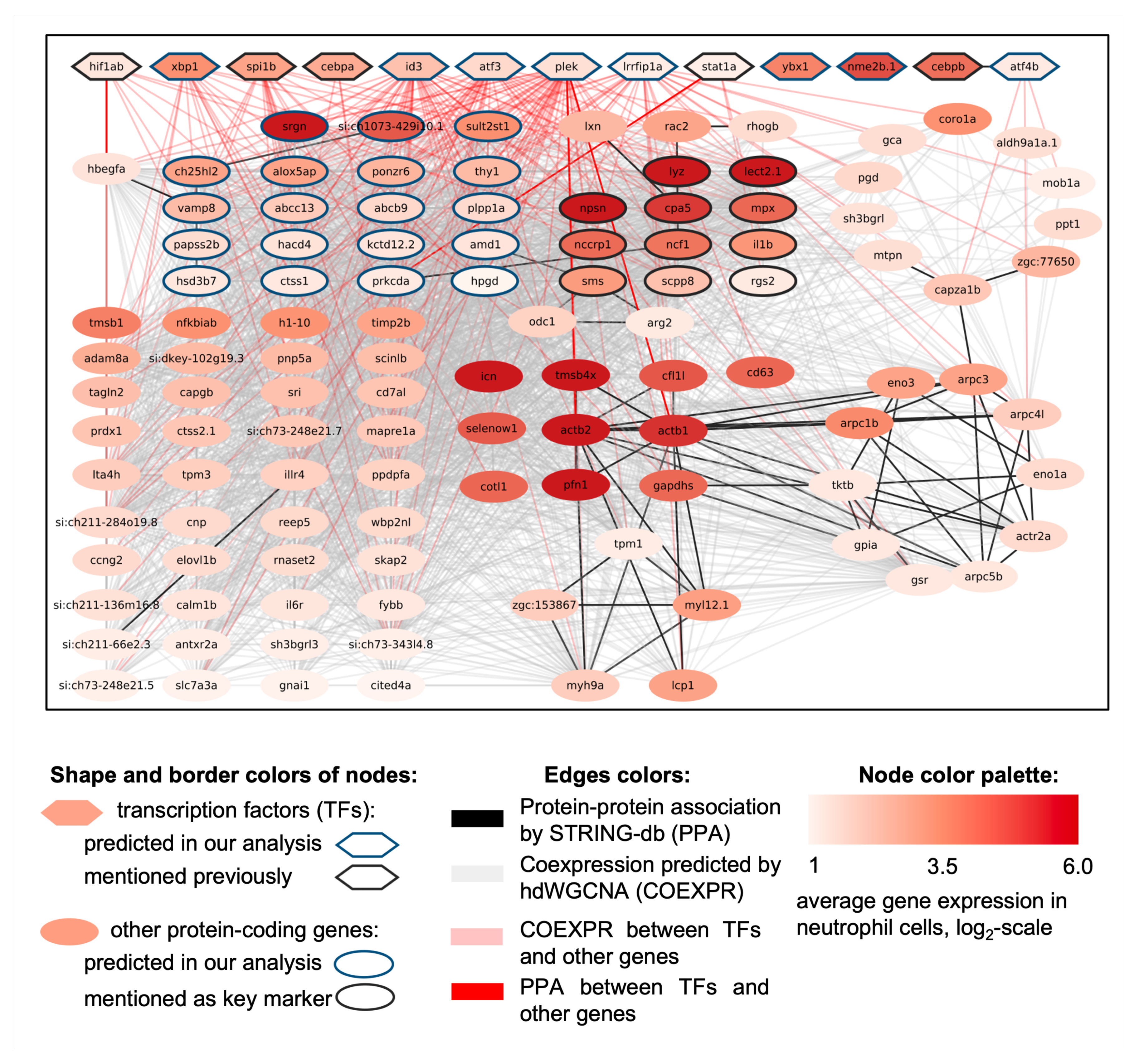 Biology 13 00773 g007