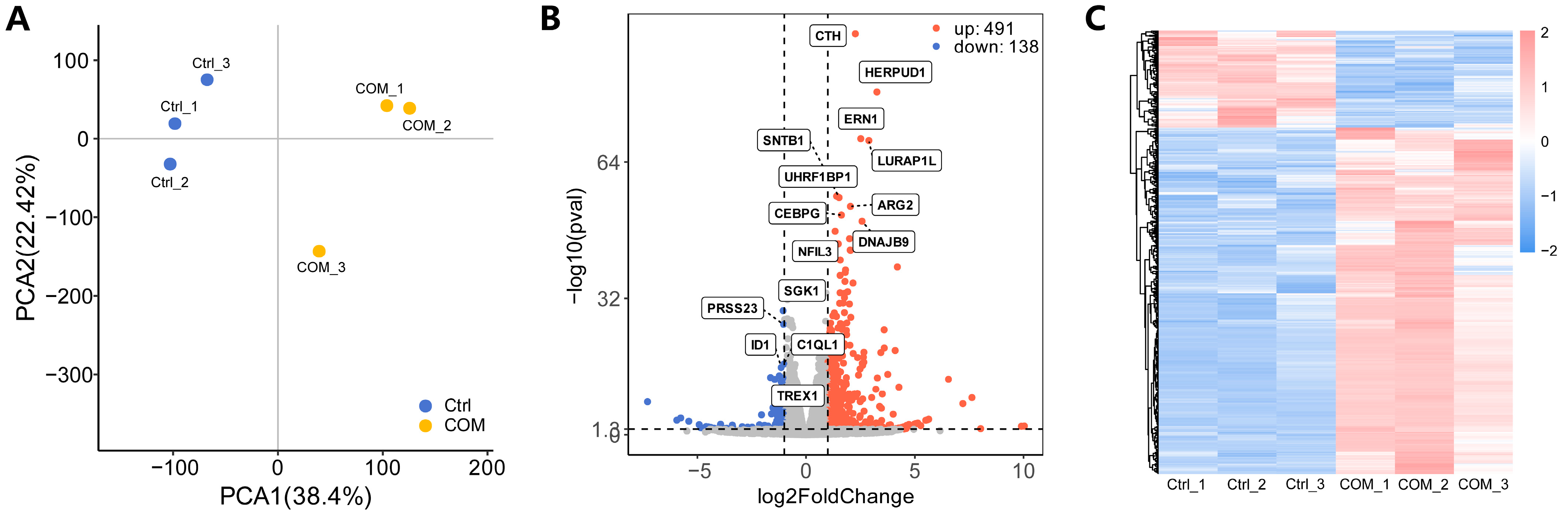 Biology 13 00774 g002
