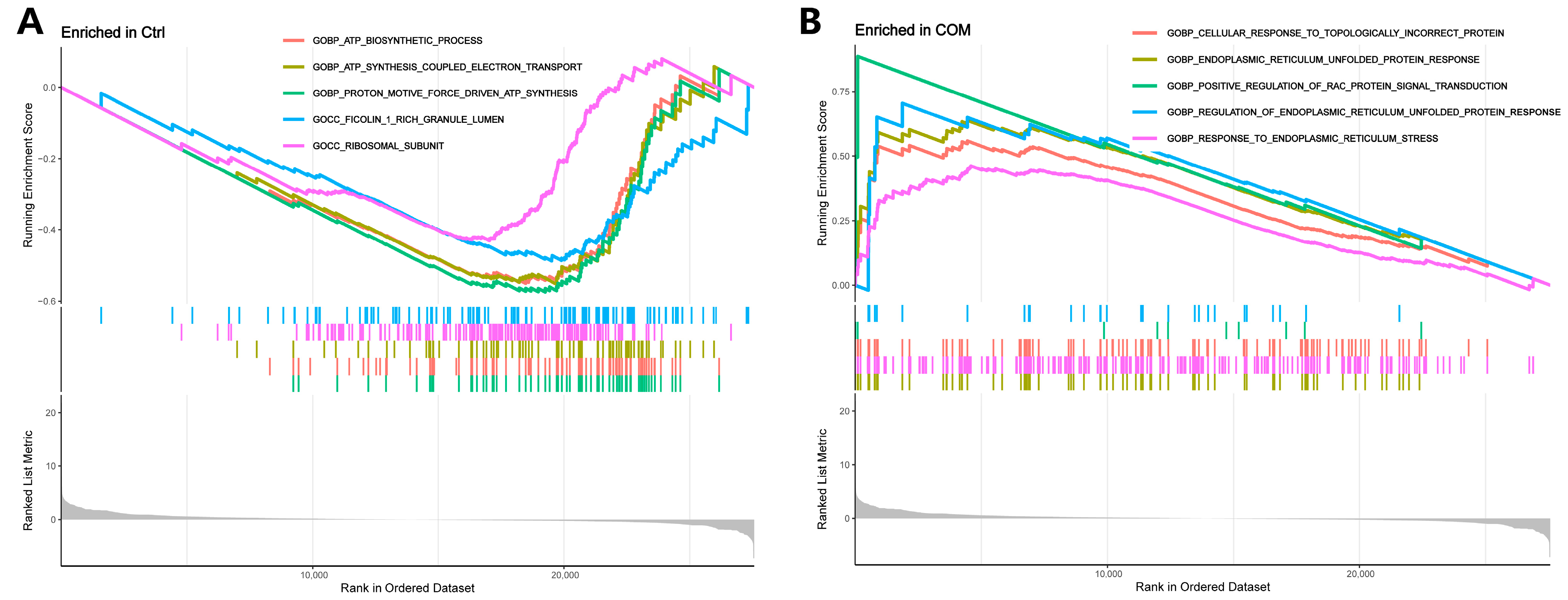 Biology 13 00774 g004