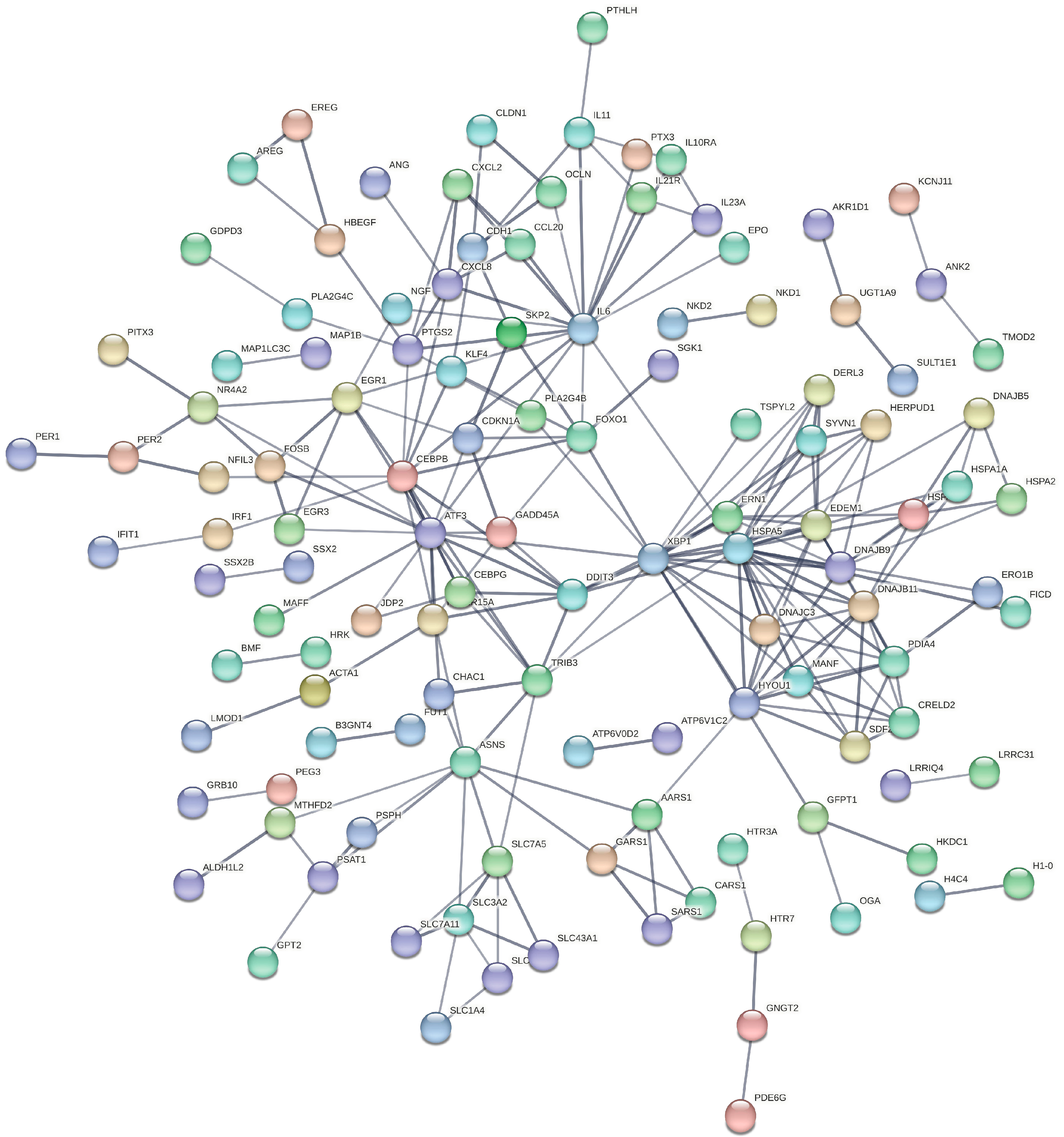 Biology 13 00774 g005