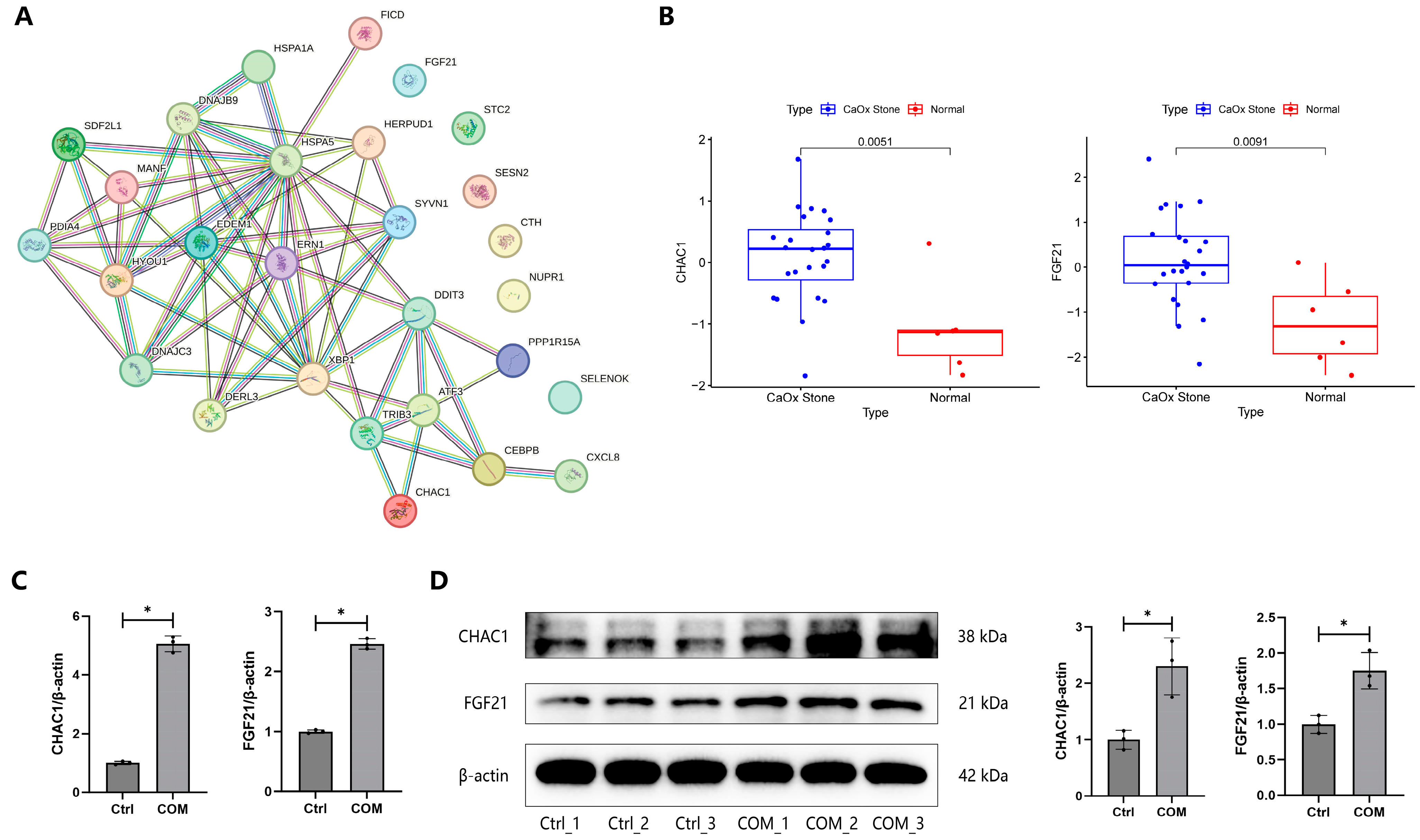 Biology 13 00774 g007