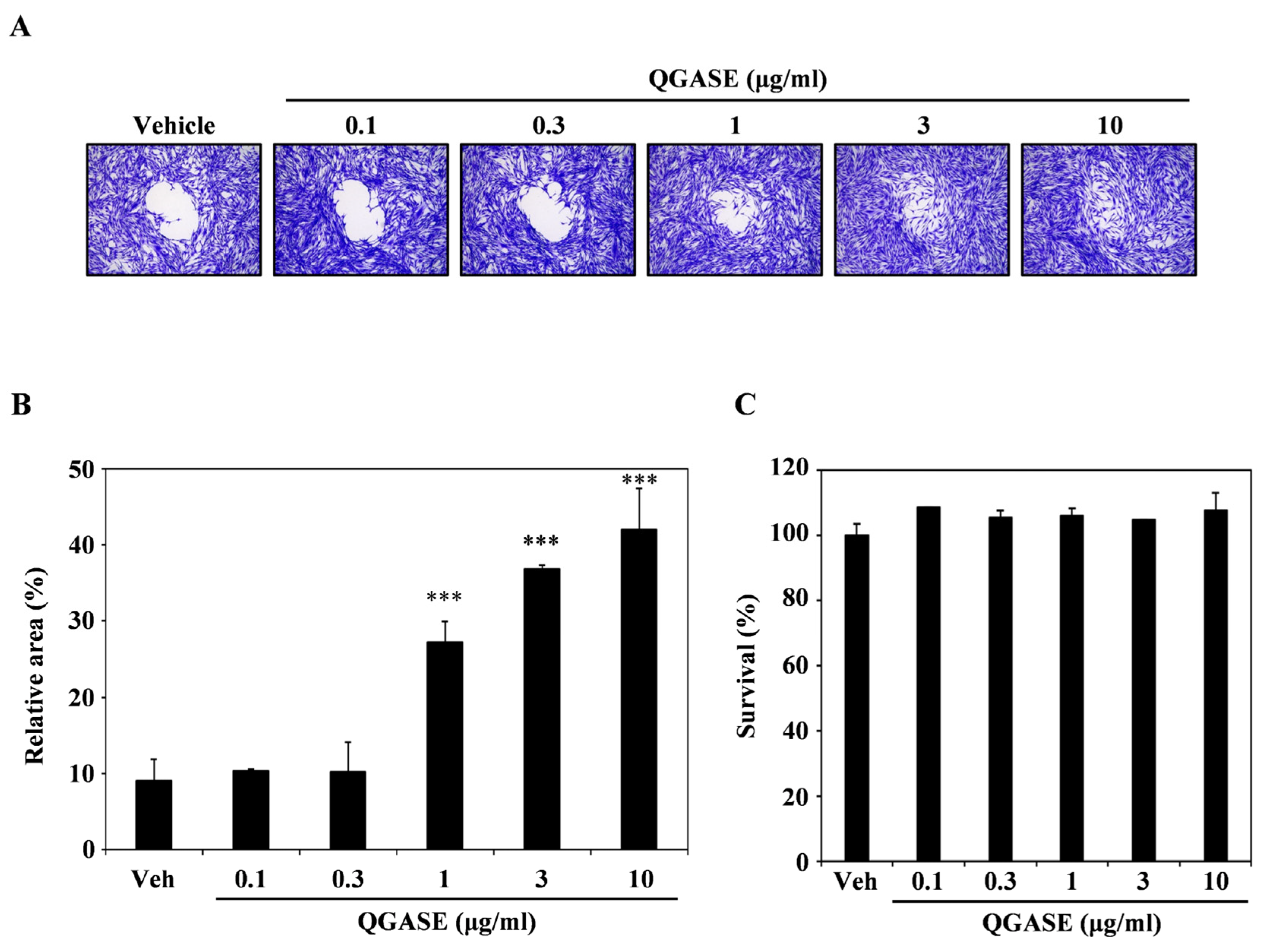 Biology 13 00775 g001