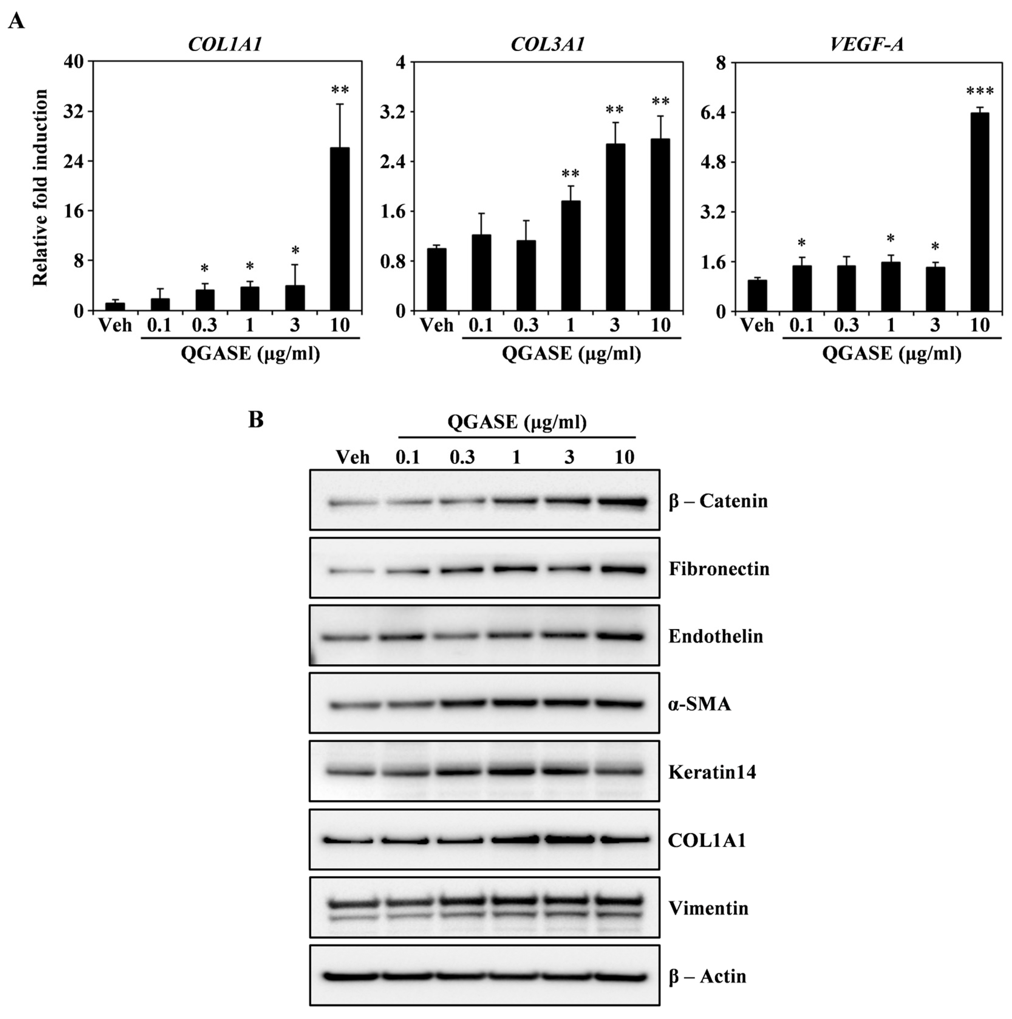 Biology 13 00775 g002