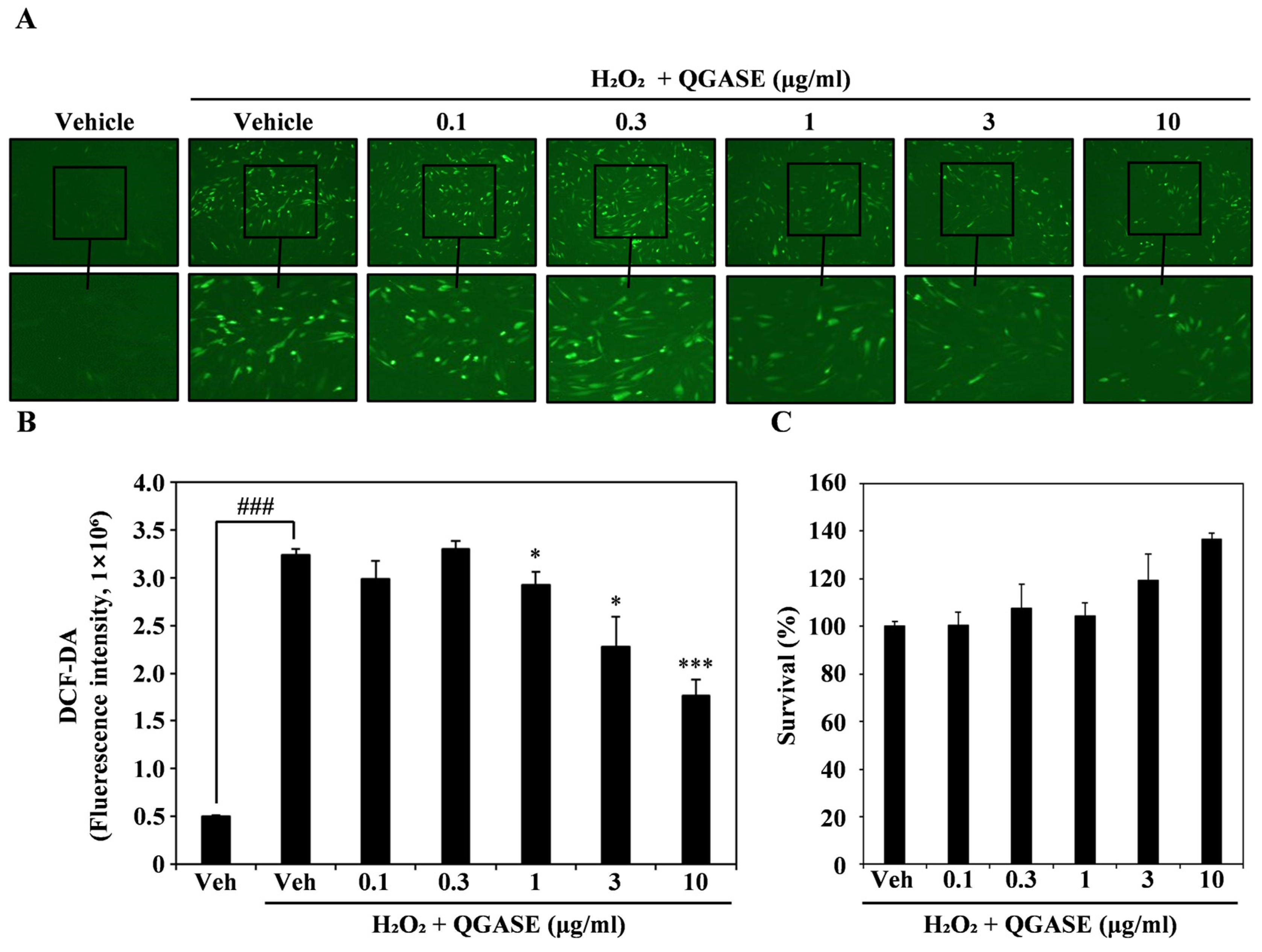 Biology 13 00775 g003