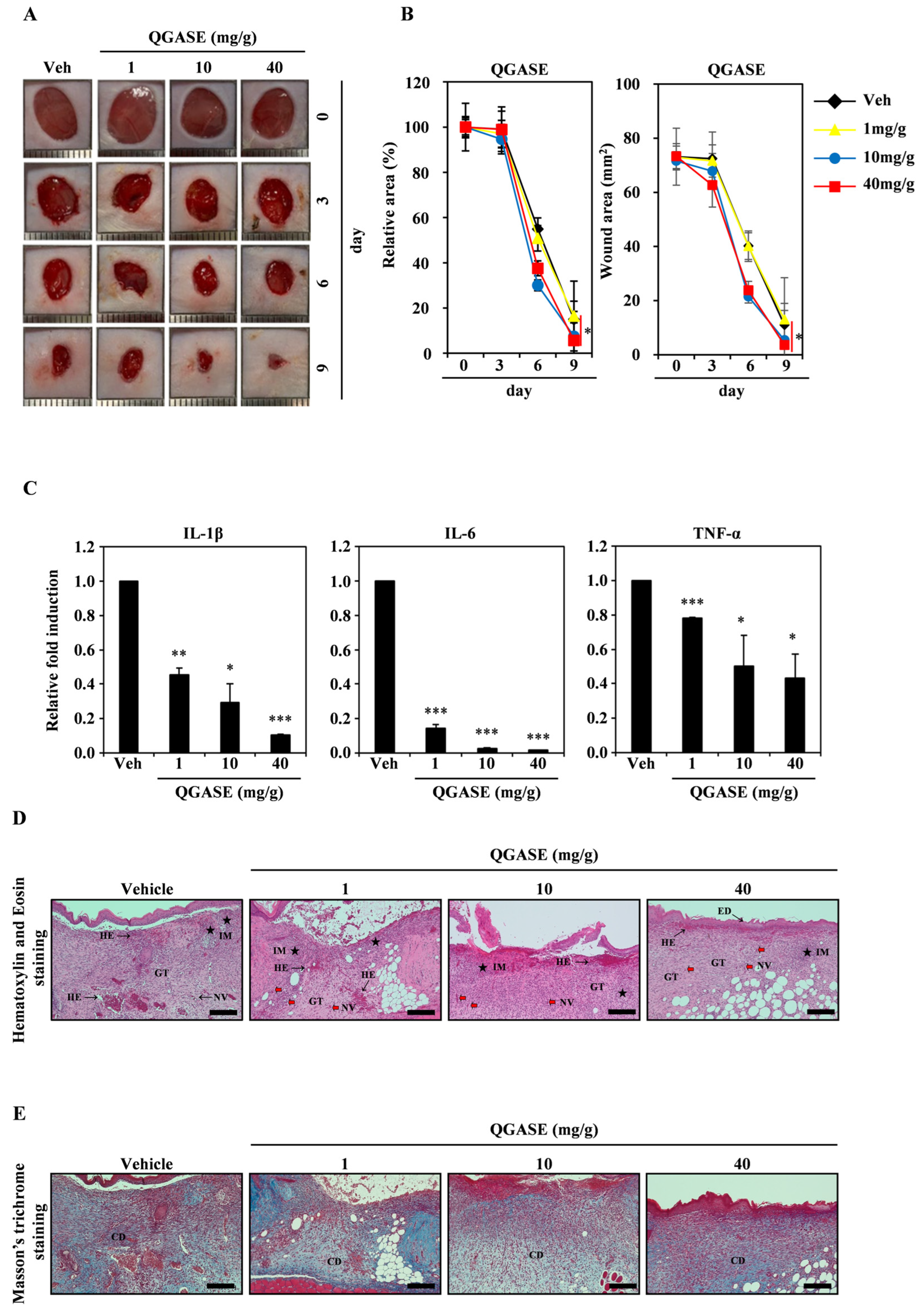 Biology 13 00775 g005
