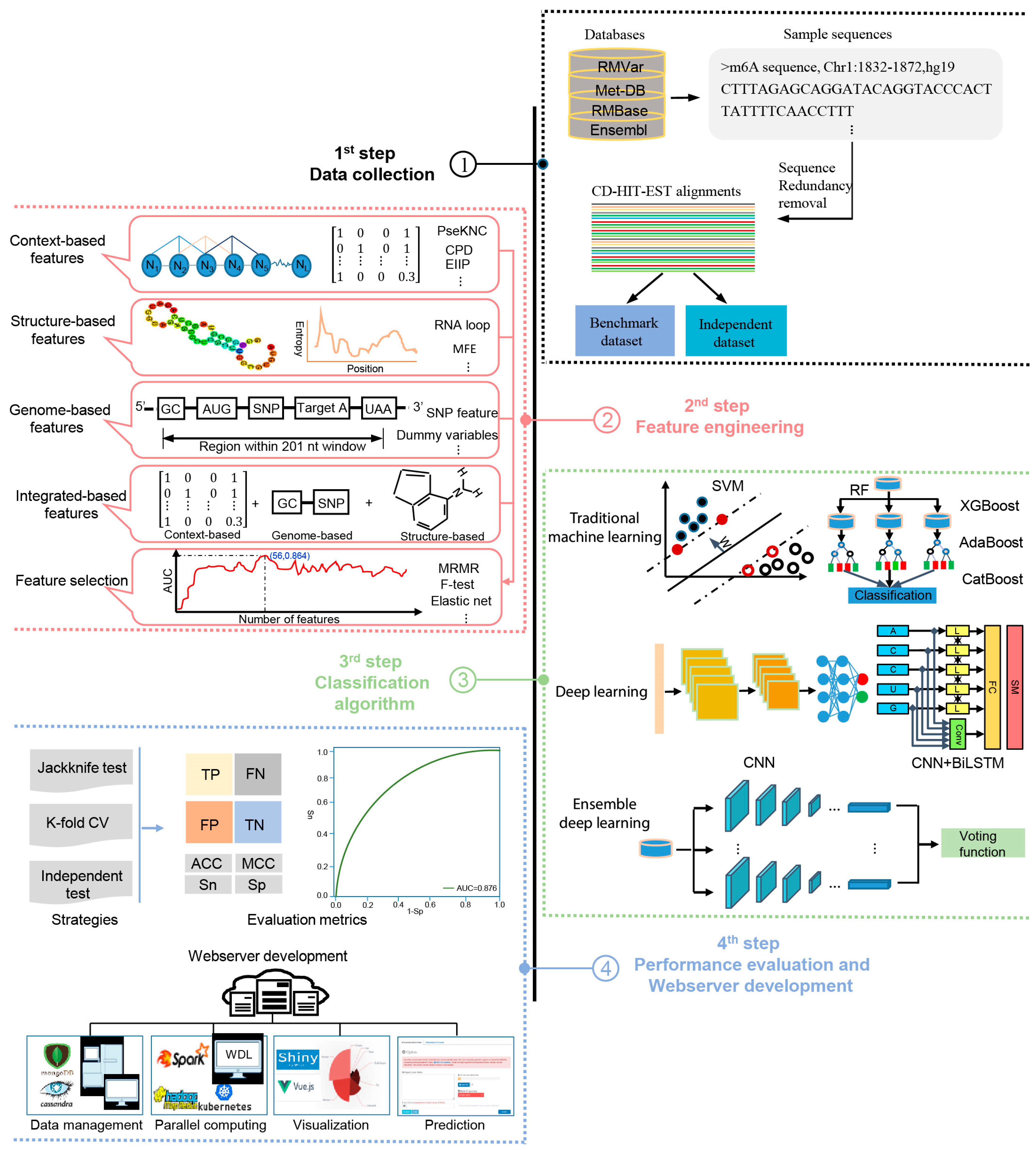 Biology 13 00777 g001
