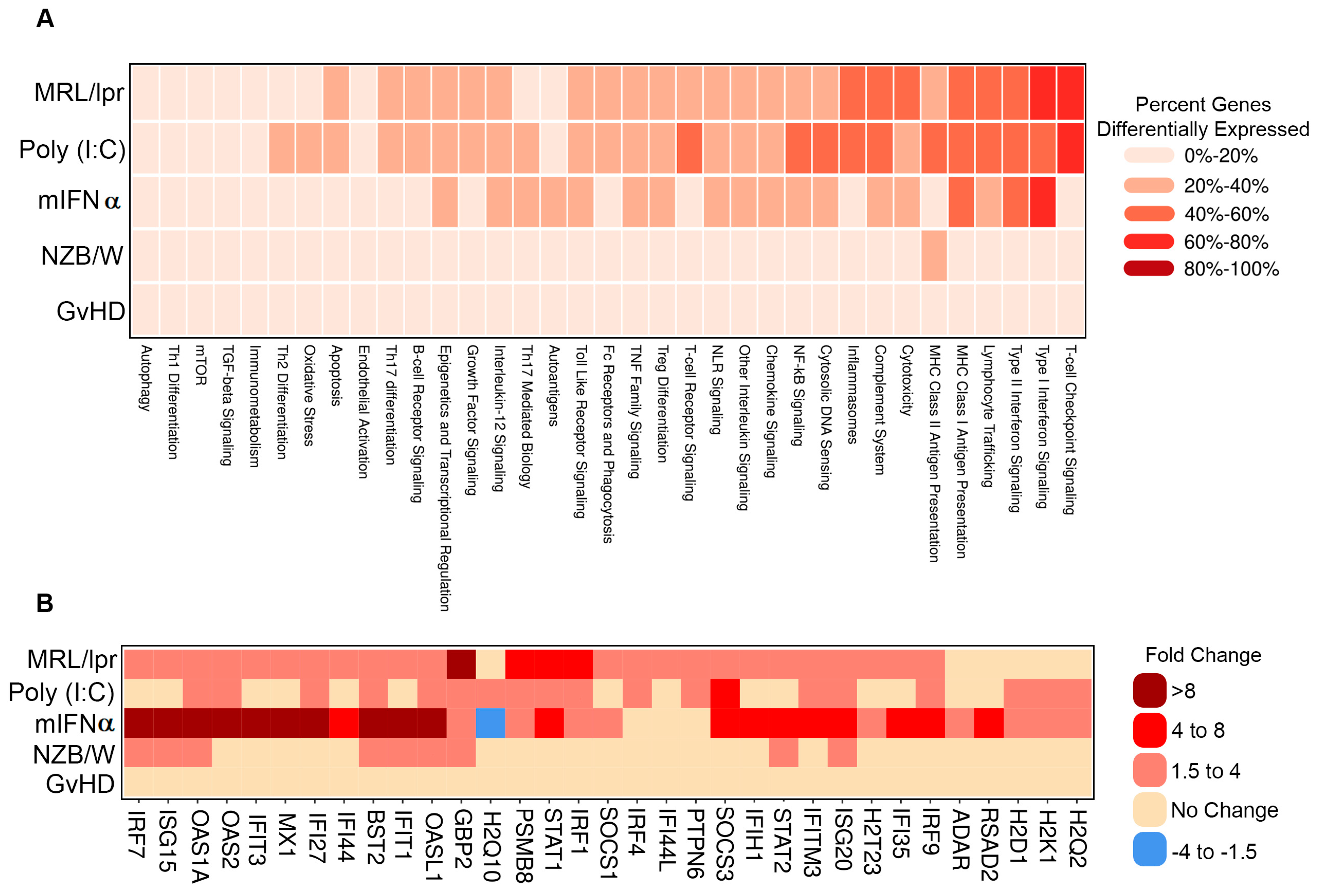 Biology 13 00778 g002