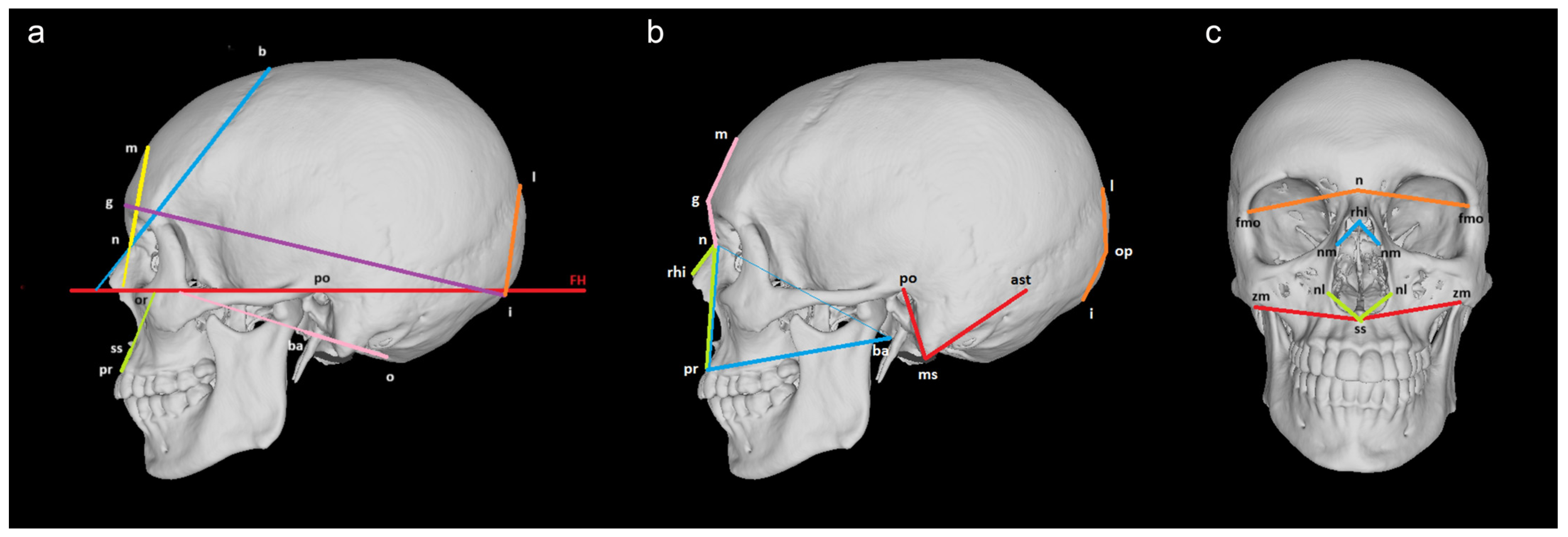 Biology 13 00780 g001