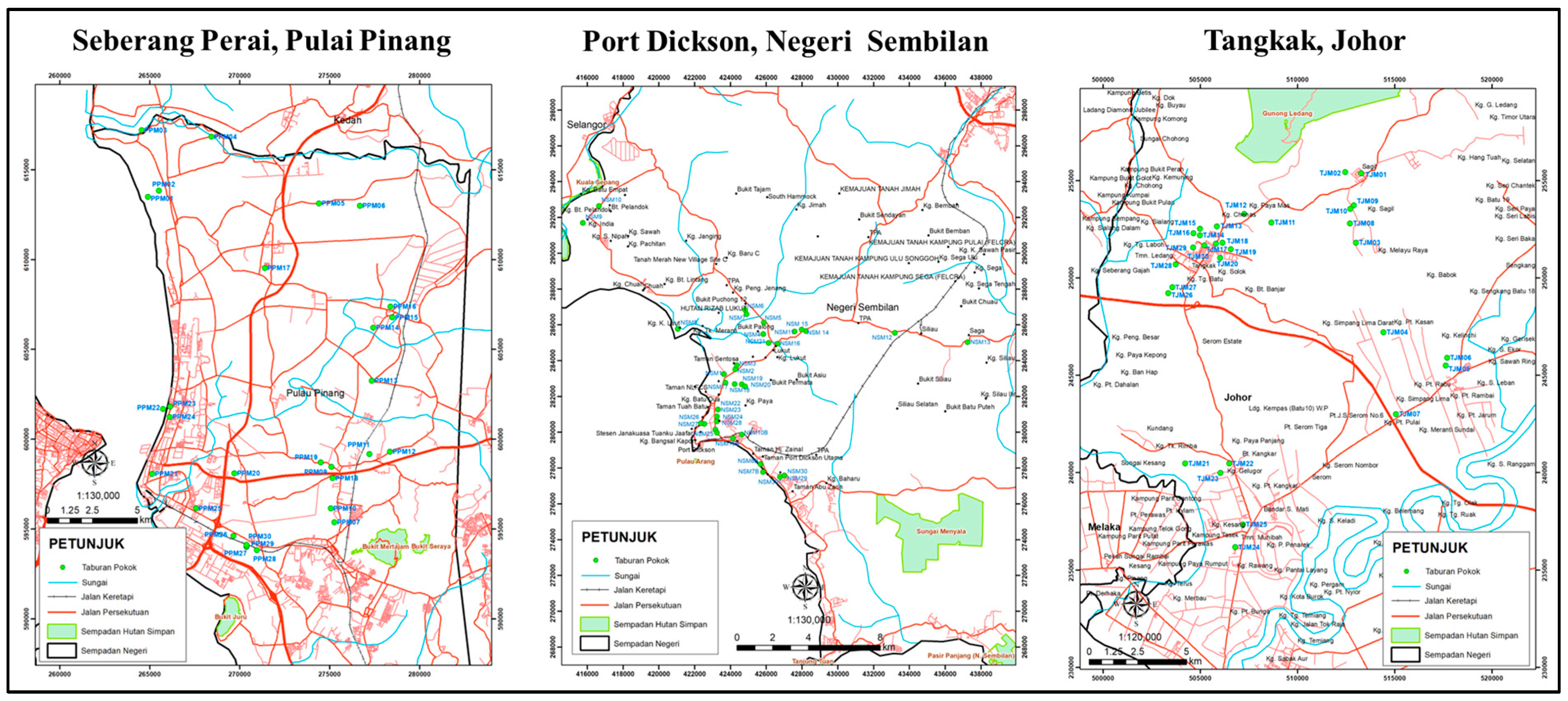 Biology 13 00785 g001
