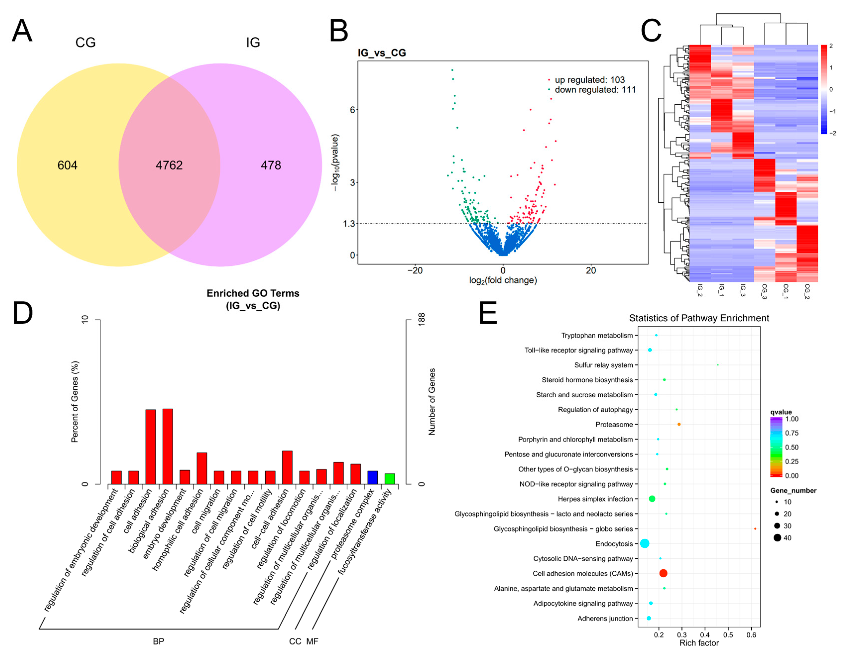 Biology 13 00788 g004