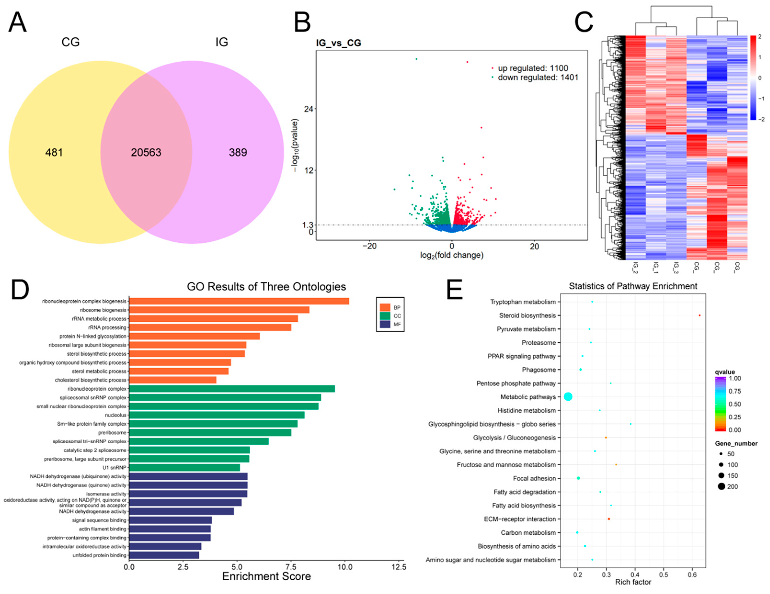 Biology 13 00788 g006