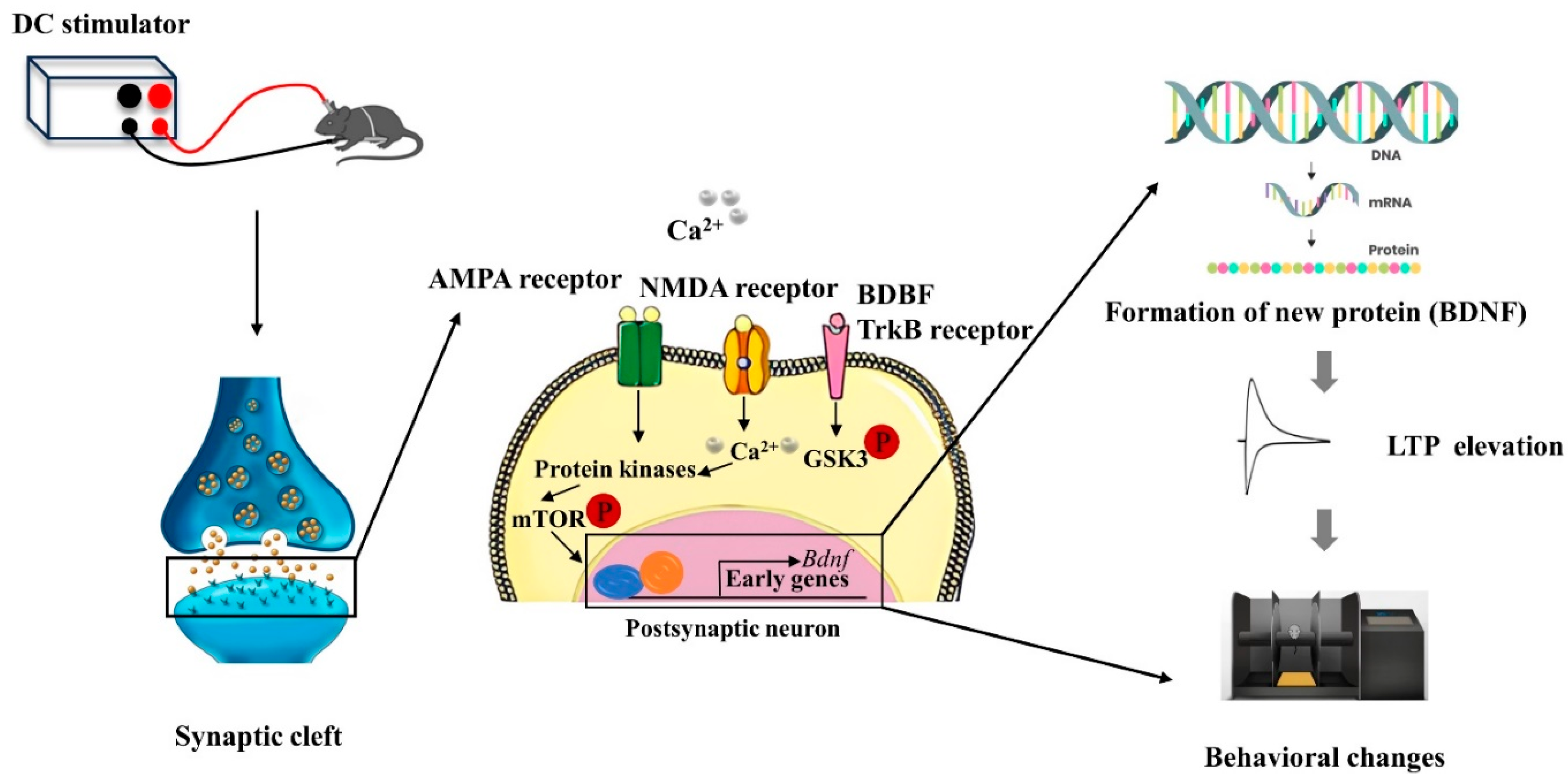Biology 13 00790 g003