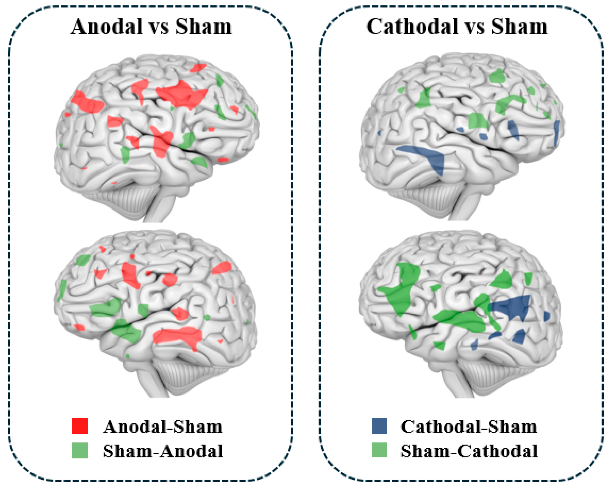 Biology 13 00790 g004