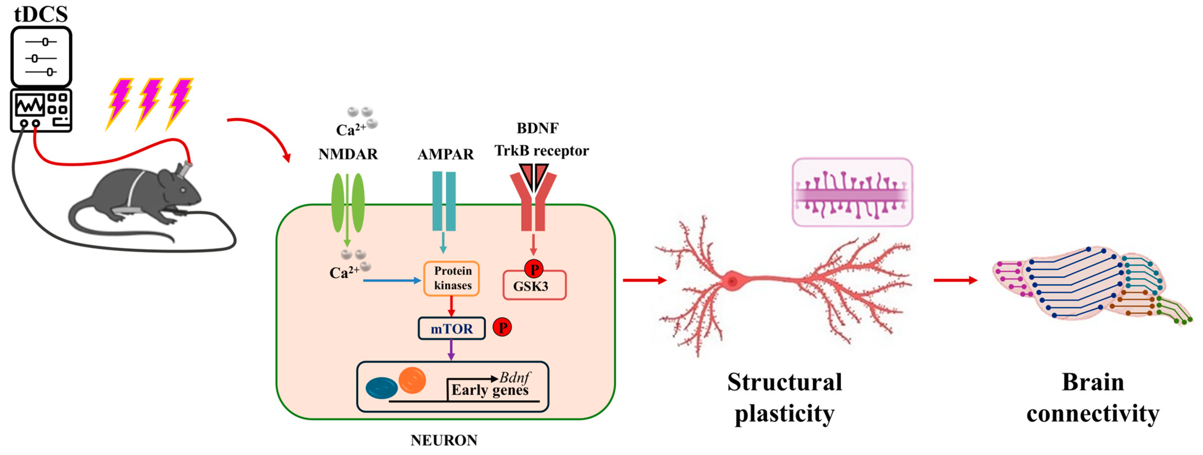 Biology 13 00790 g005