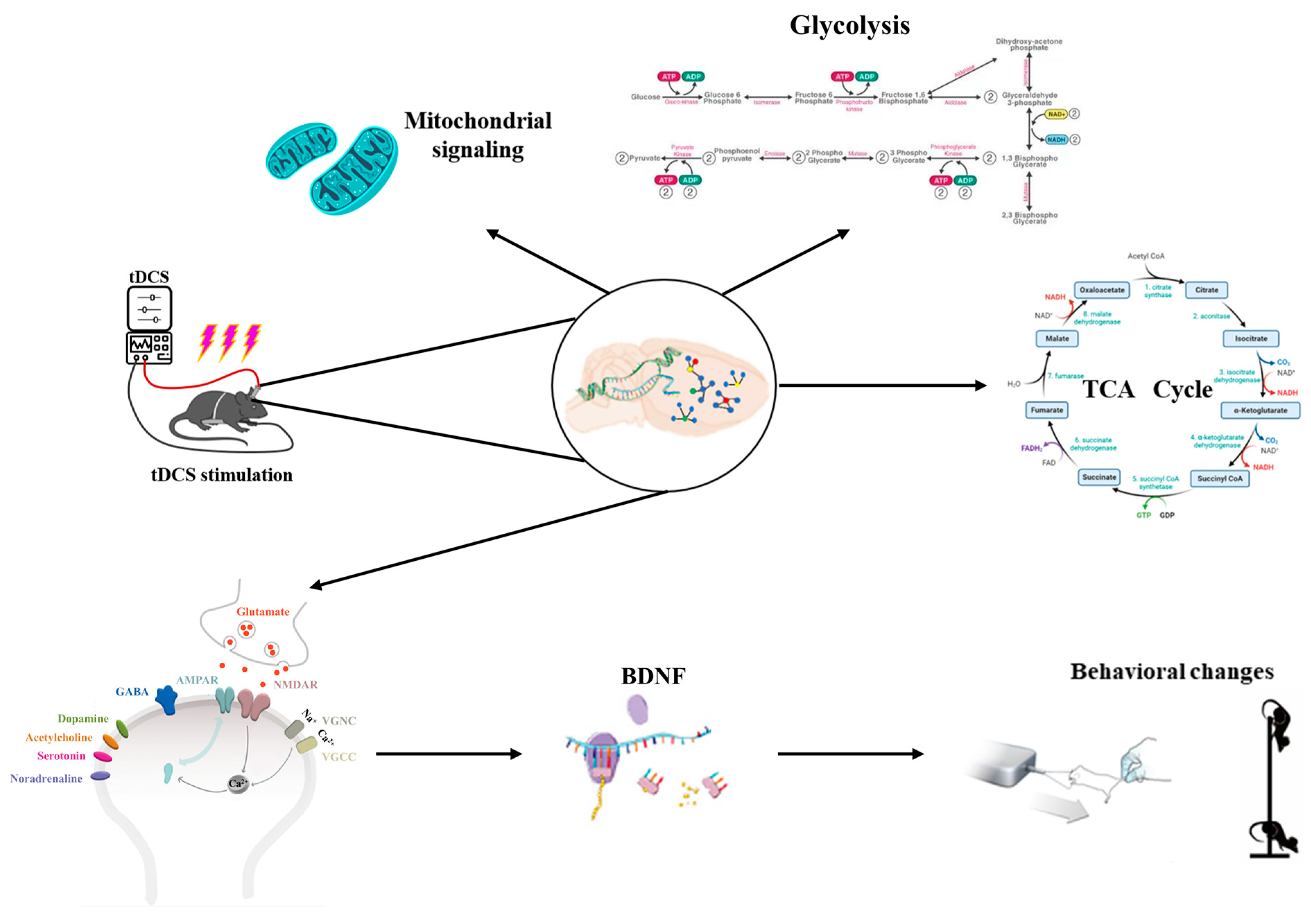 Biology 13 00790 g006