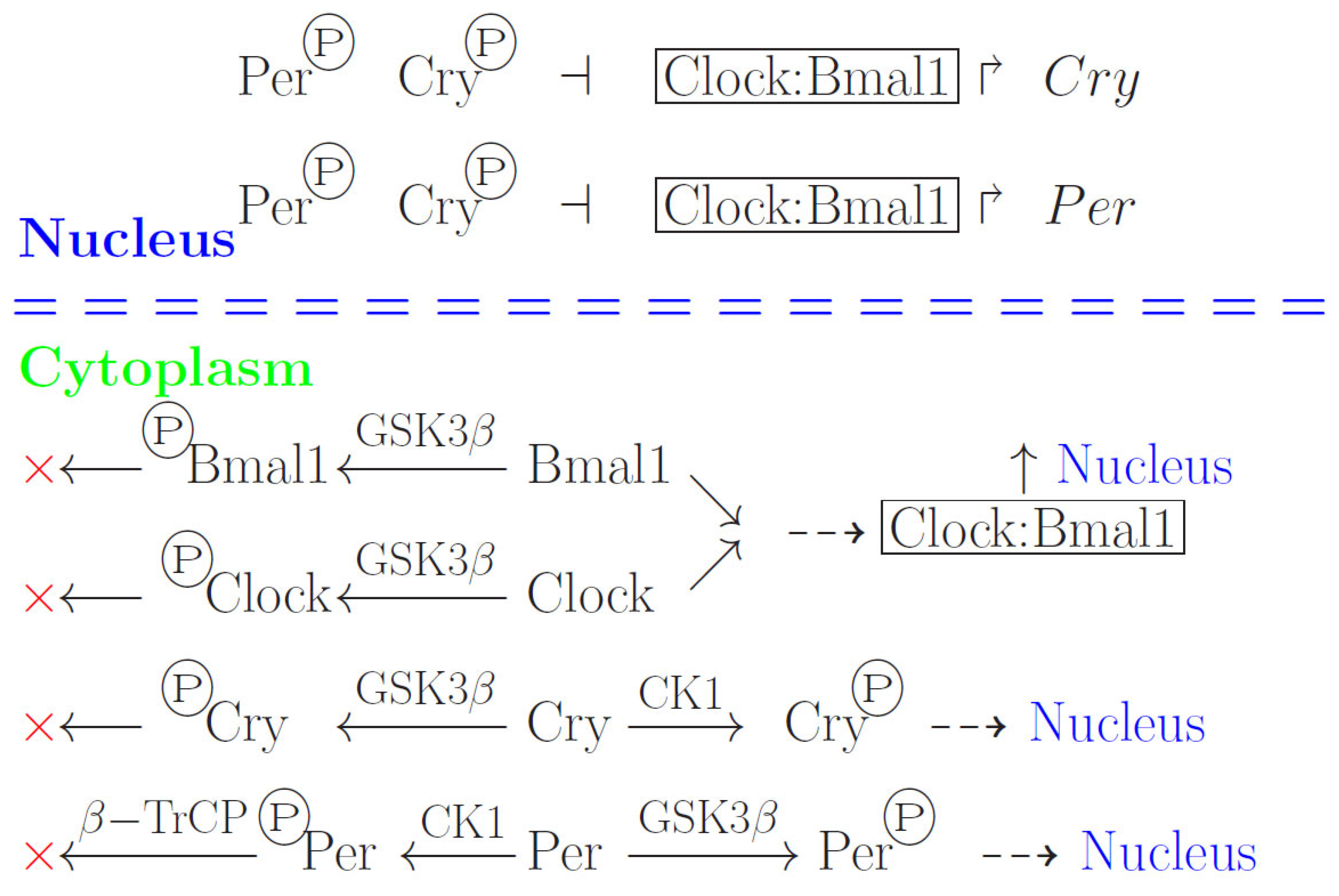 Biology 13 00792 g001 Biology 13 00792 g001