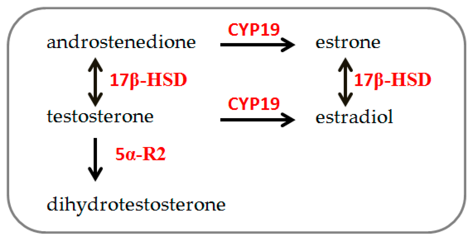 Biology 13 00796 g001