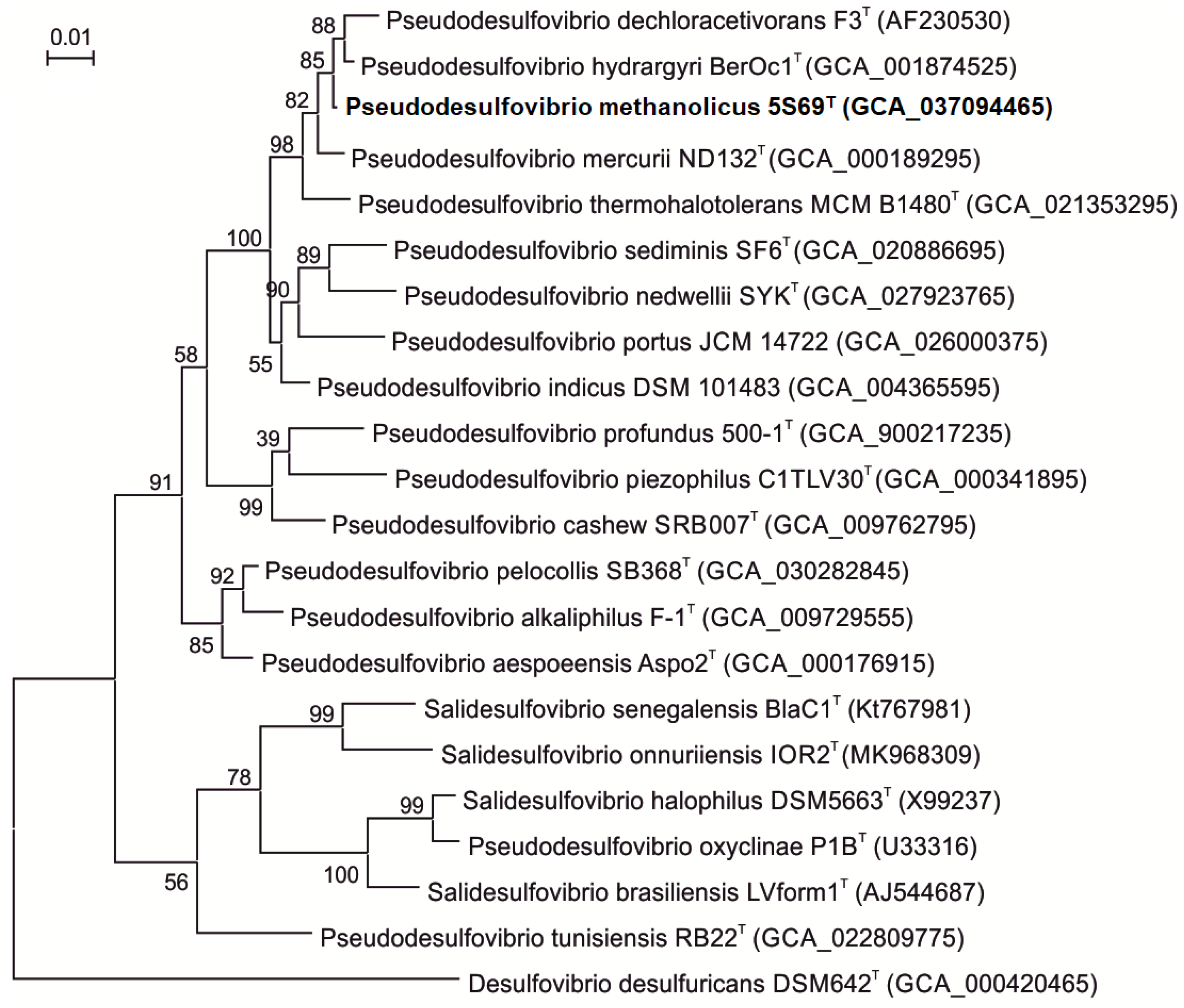 Biology 13 00800 g002