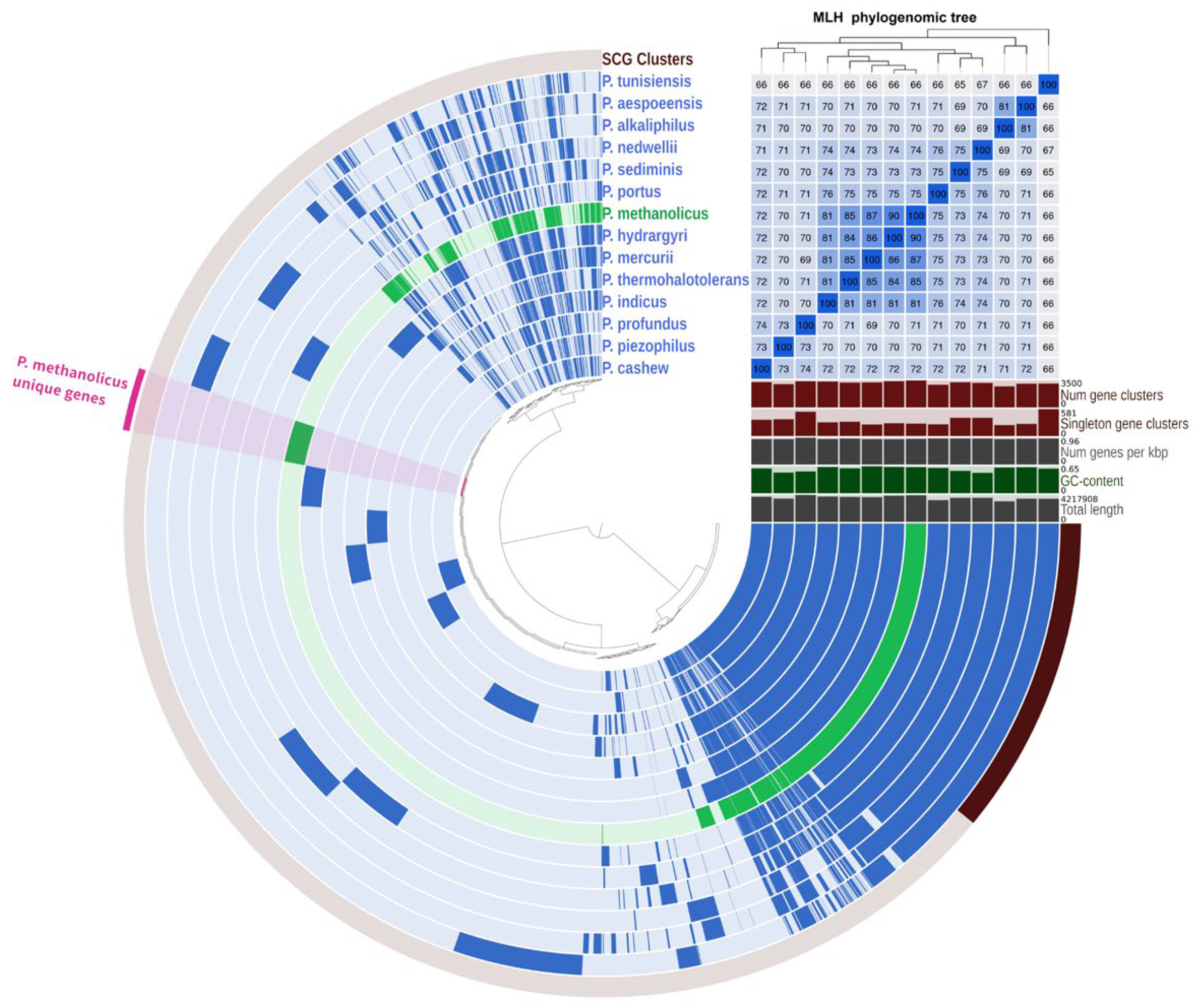 Biology 13 00800 g004