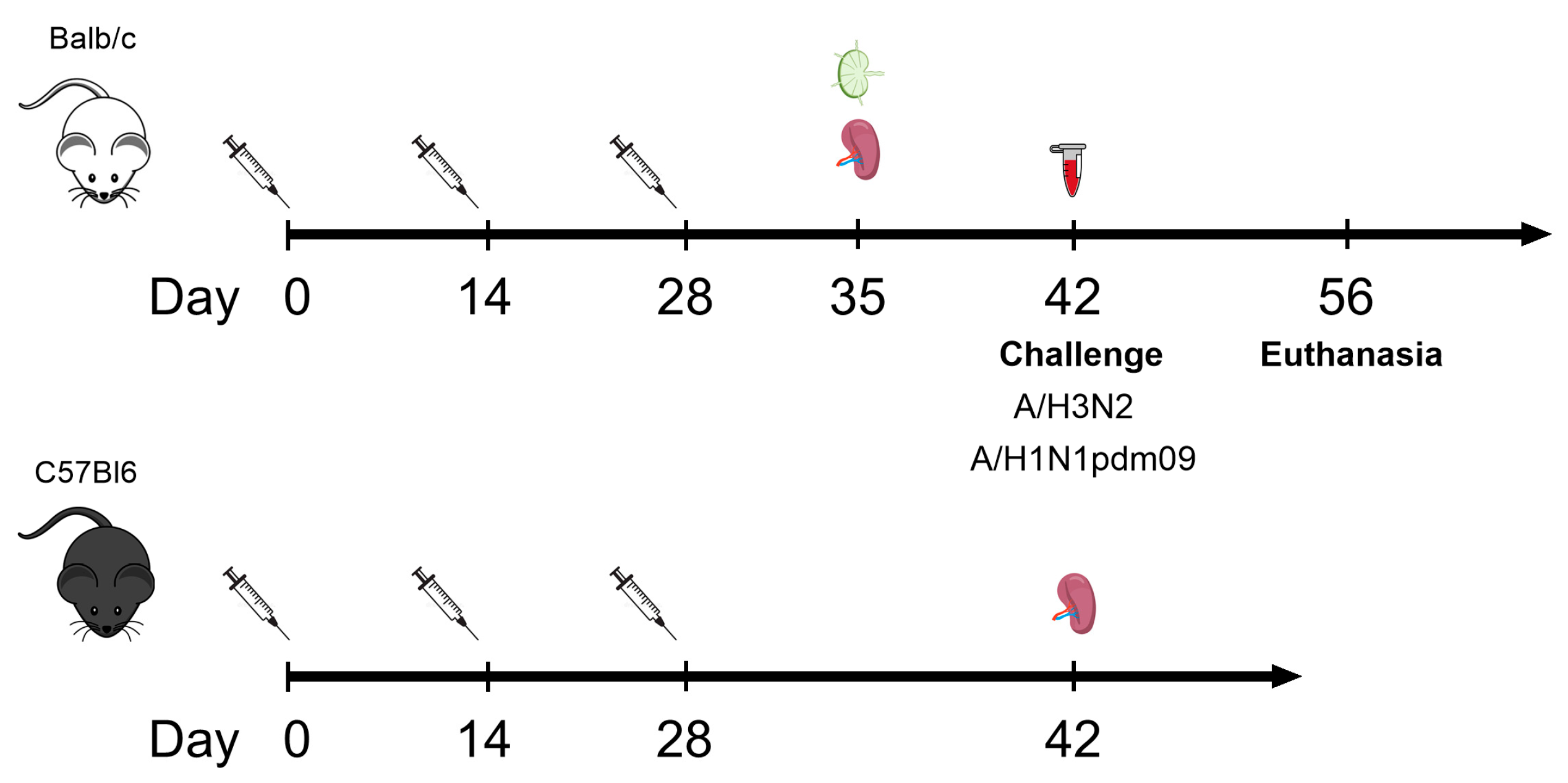 Biology 13 00801 g002