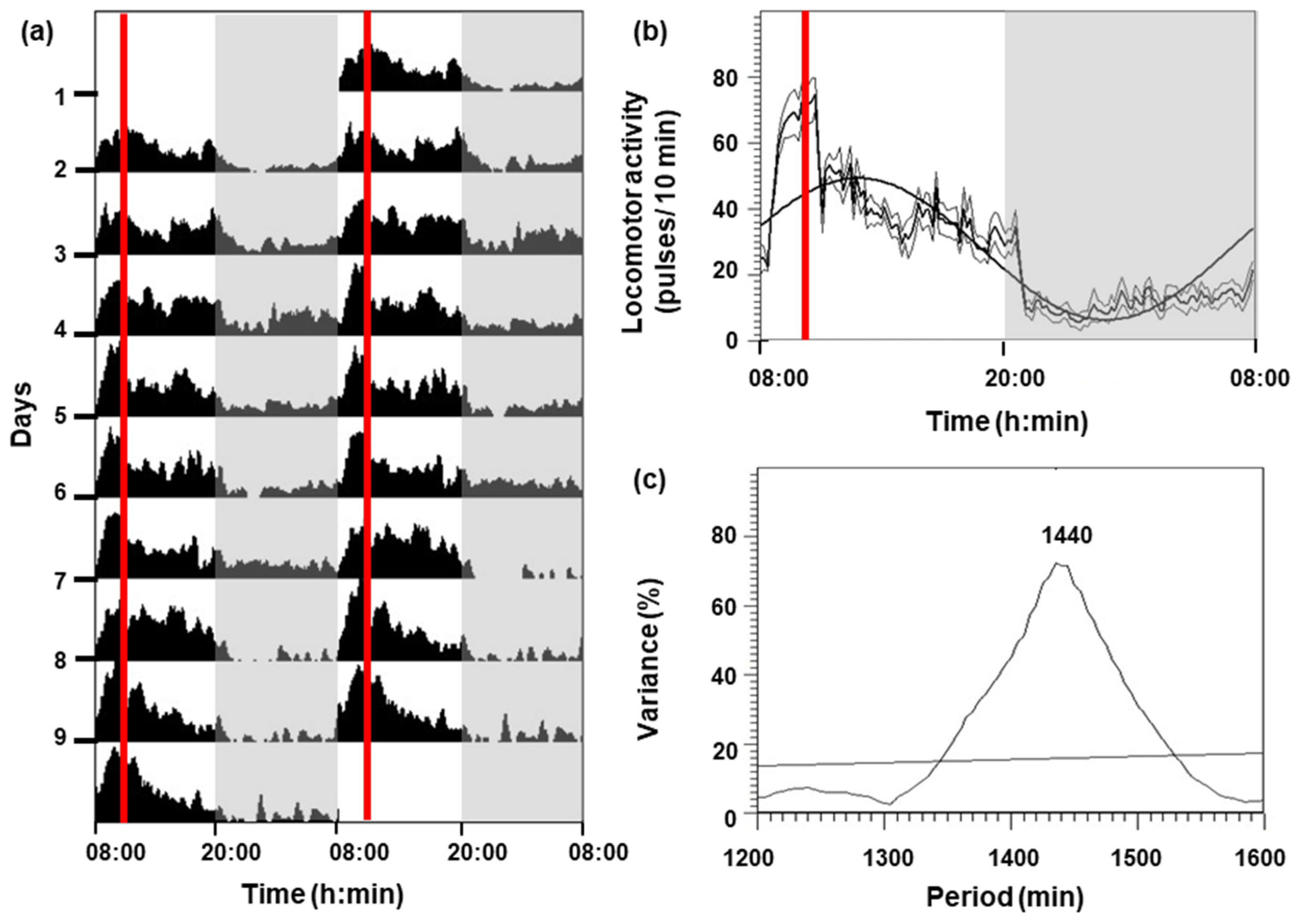 Biology 13 00804 g001