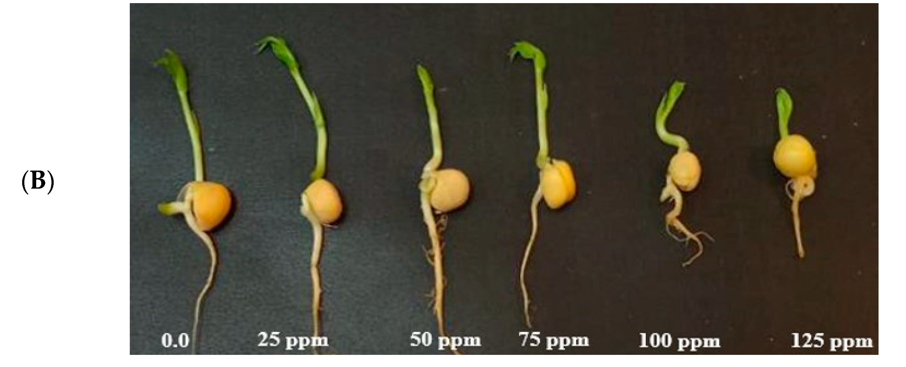 Biology 13 00805 g004b