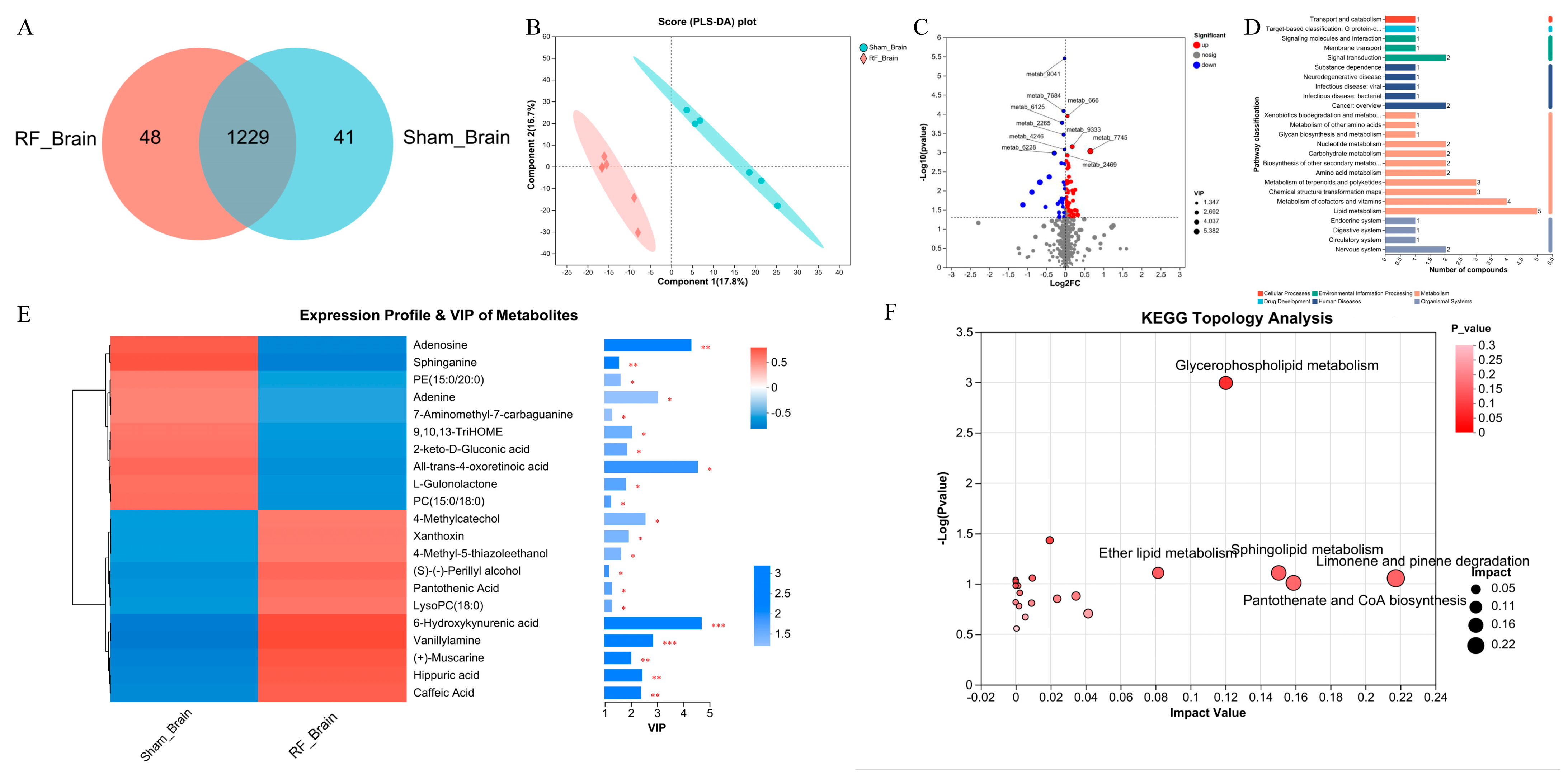 Biology 13 00806 g001