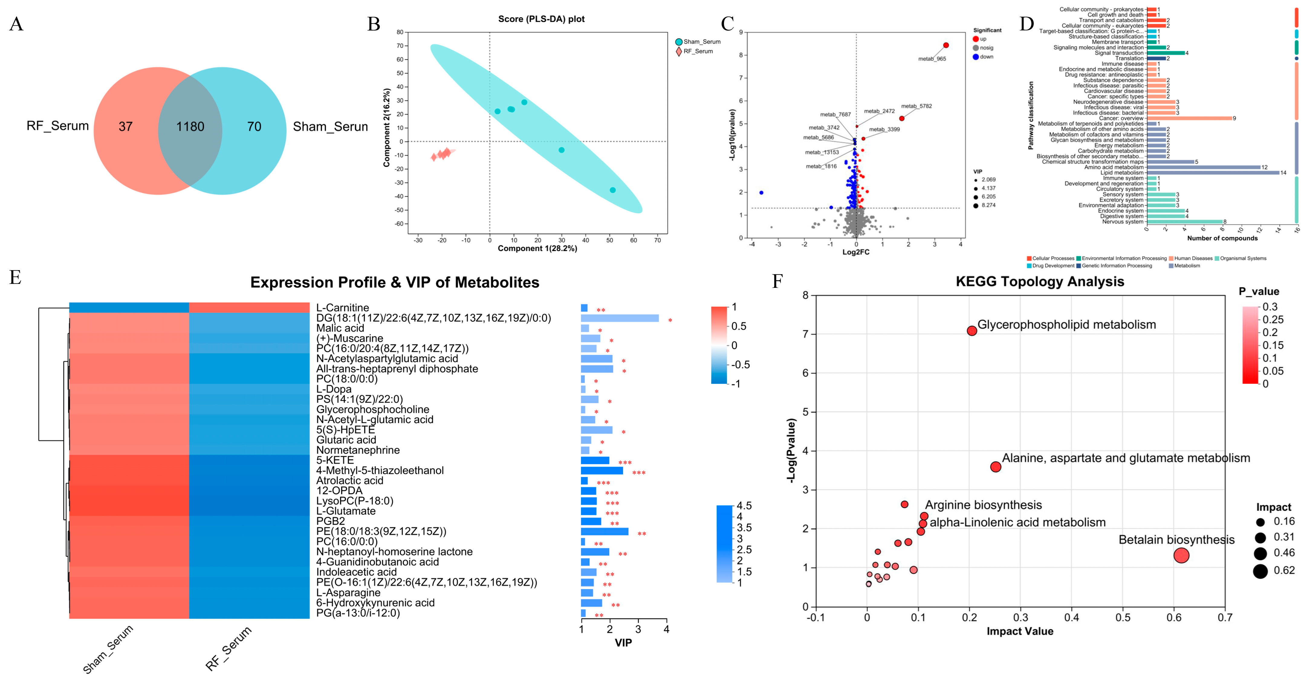 Biology 13 00806 g002