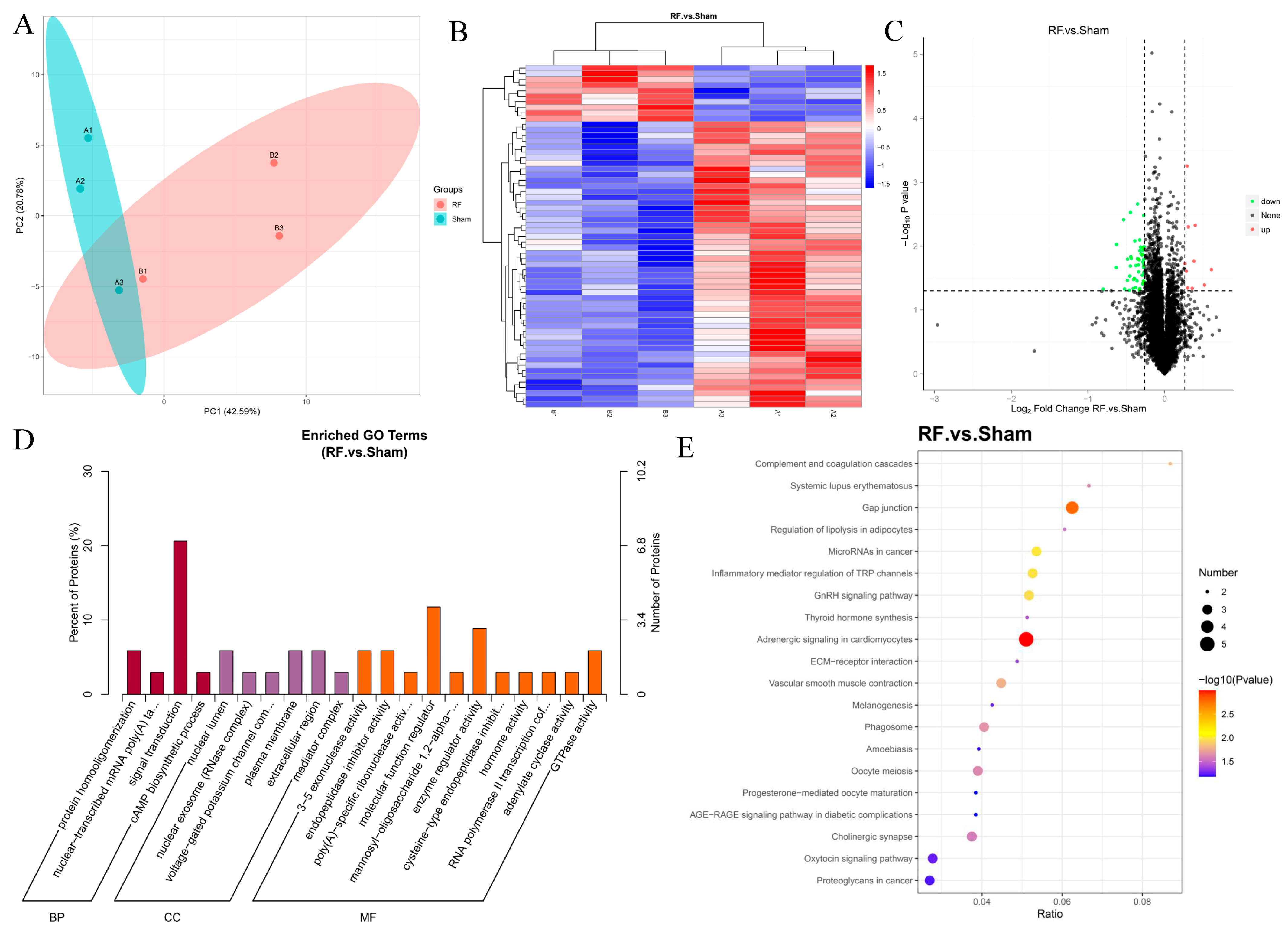 Biology 13 00806 g003